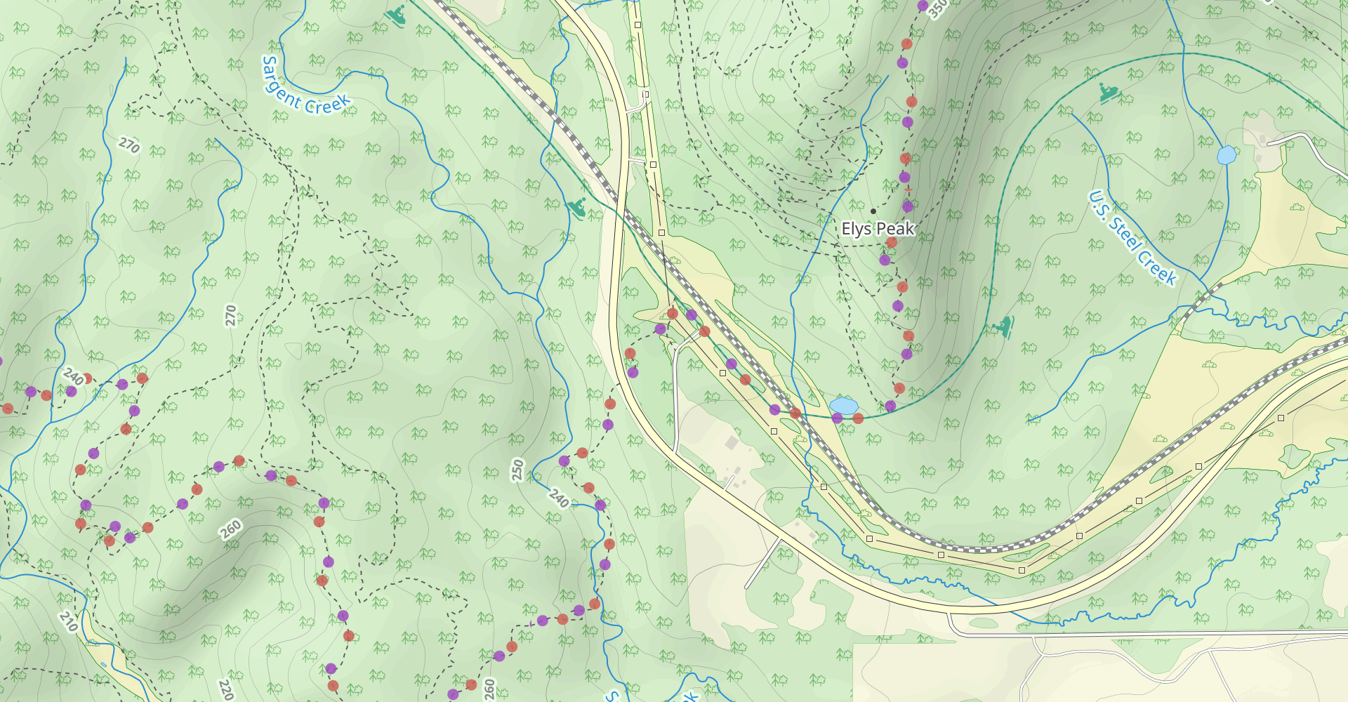 Elys Peak Trail