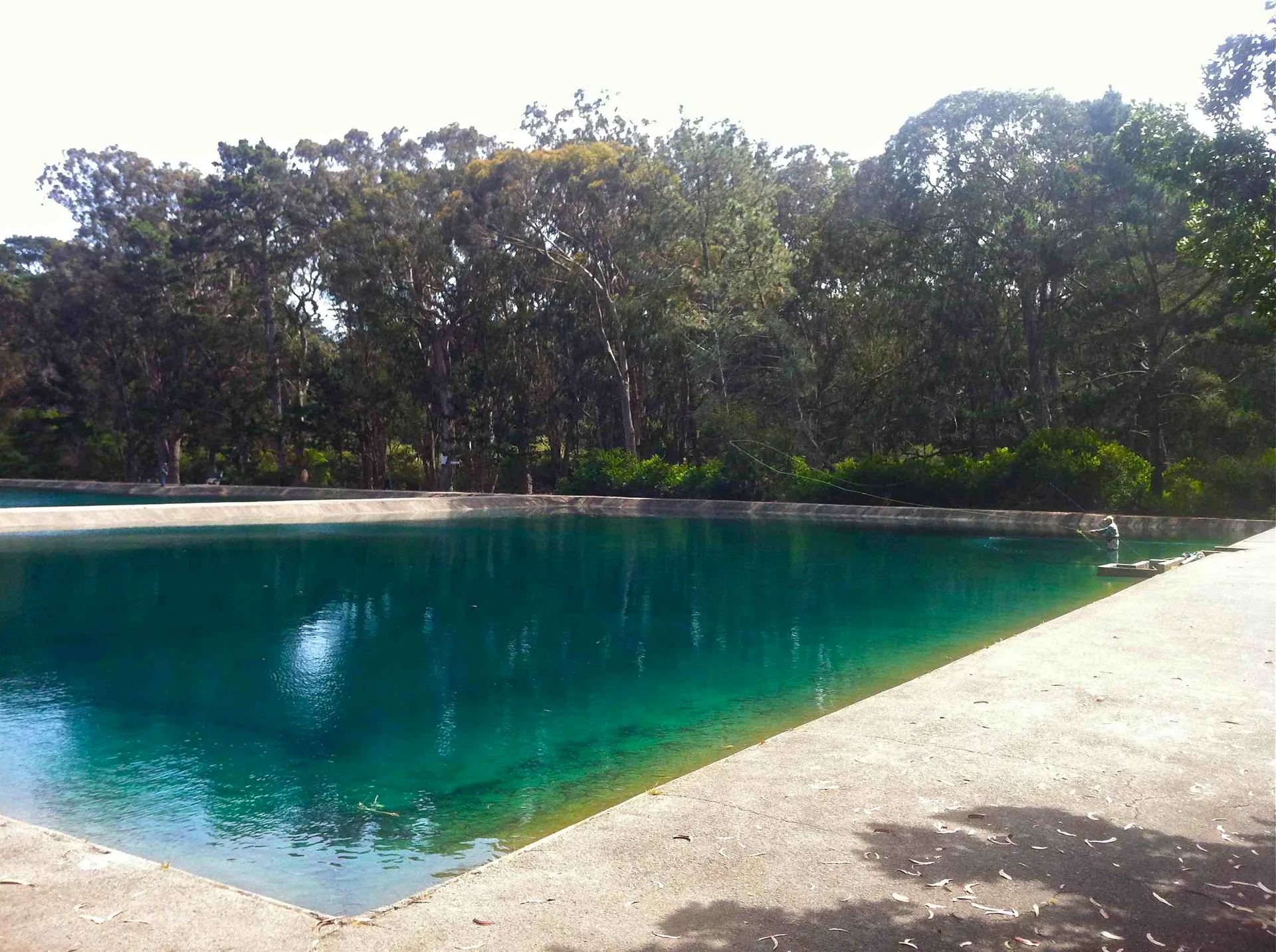 Golden Gate Angling & Casting Club