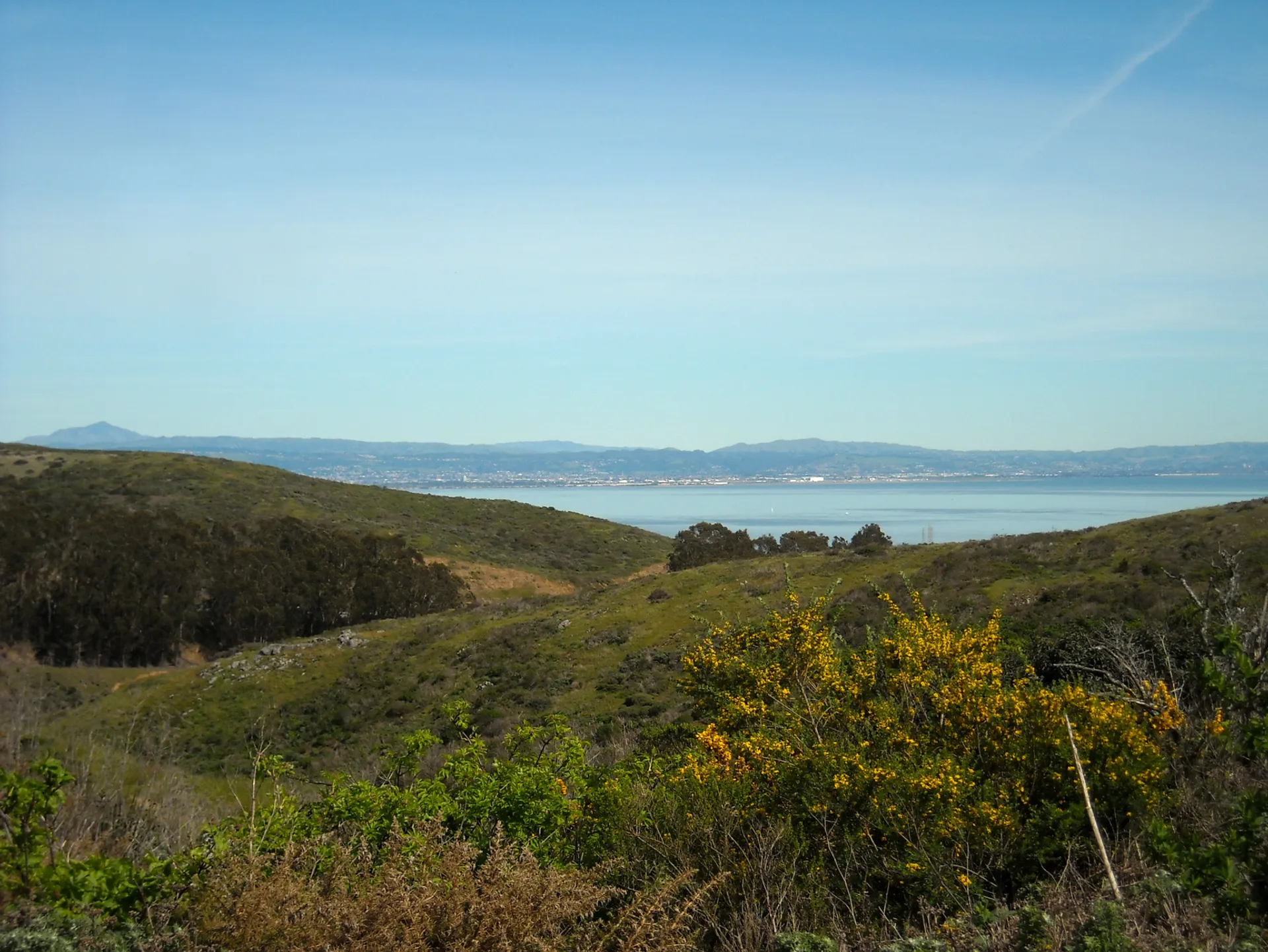 San Bruno Mountain