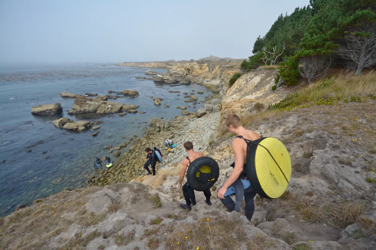 Abalone Diving at Salt Point State Park