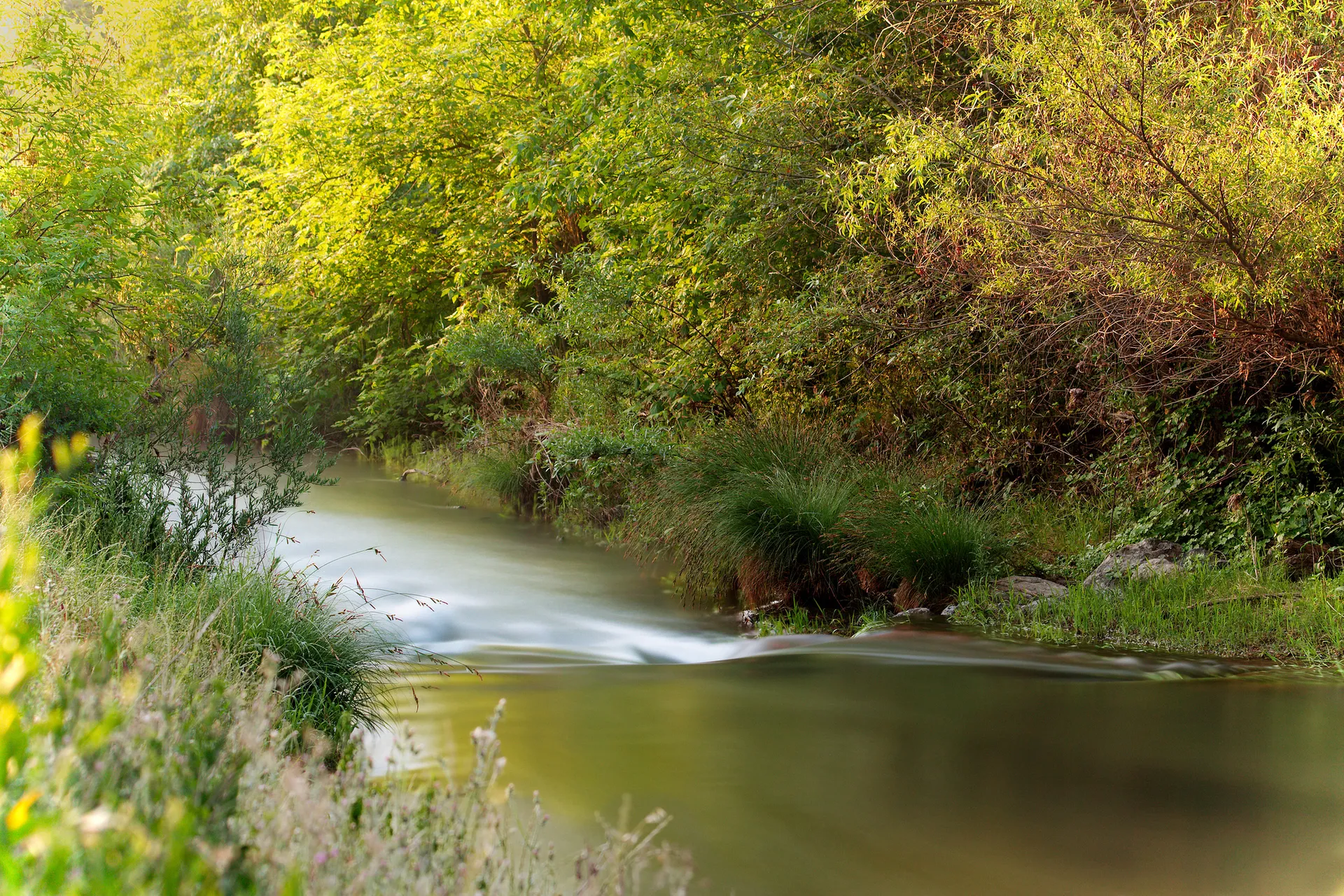 Fly Fishing on the Putah