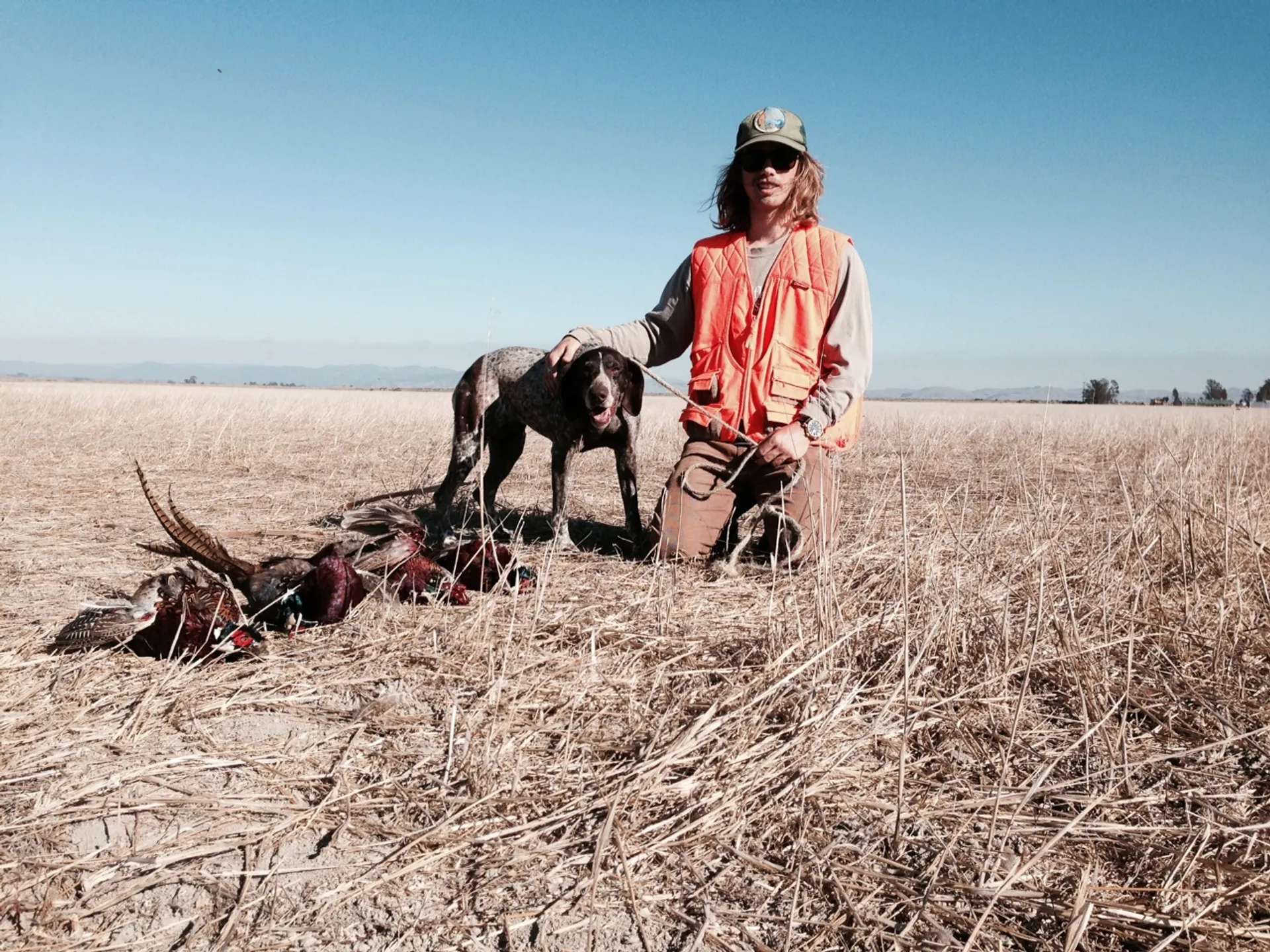 Upland Game Bird Hunting/ Clay Shooting  