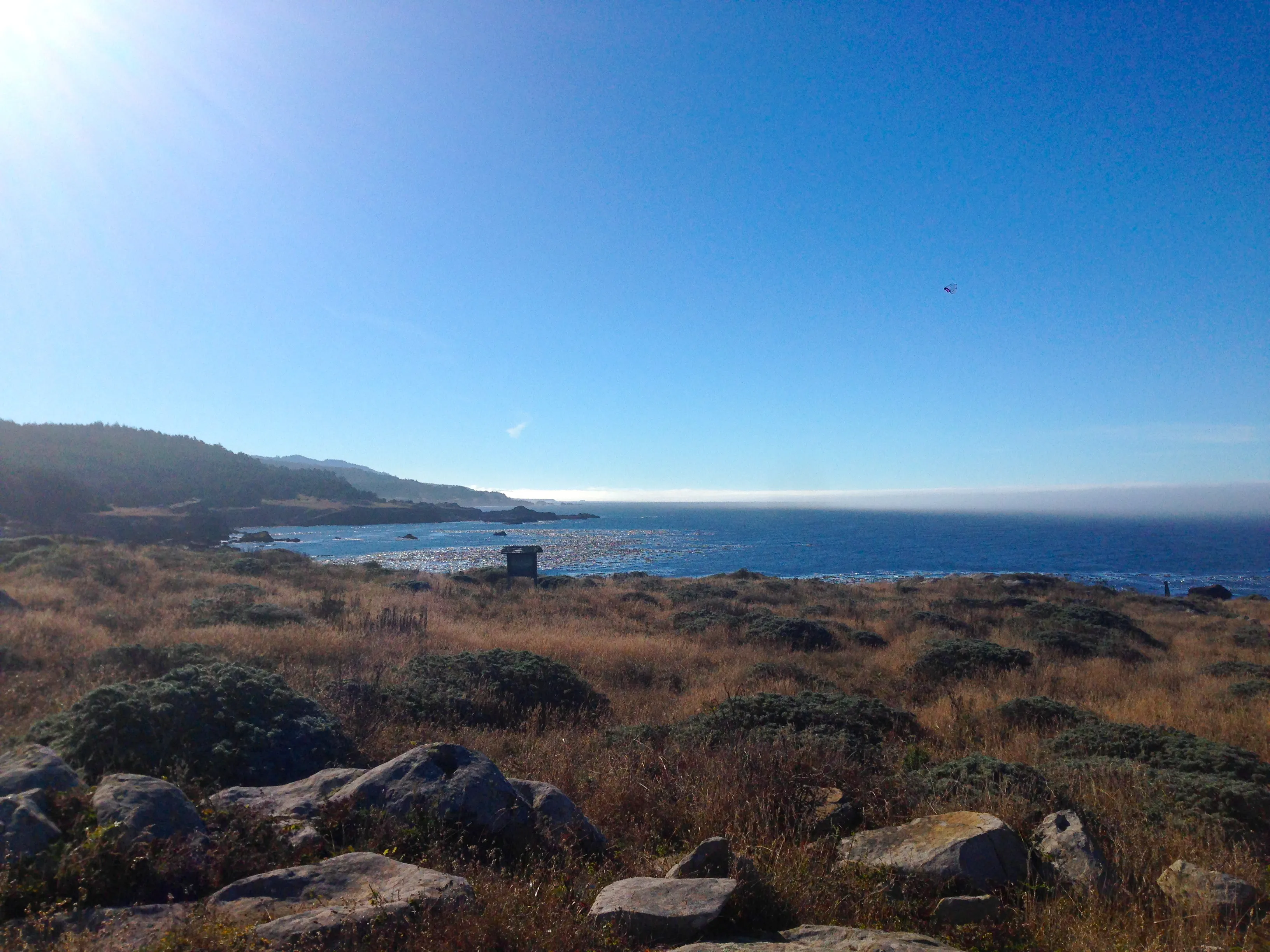 Camp at Salt Point State Park