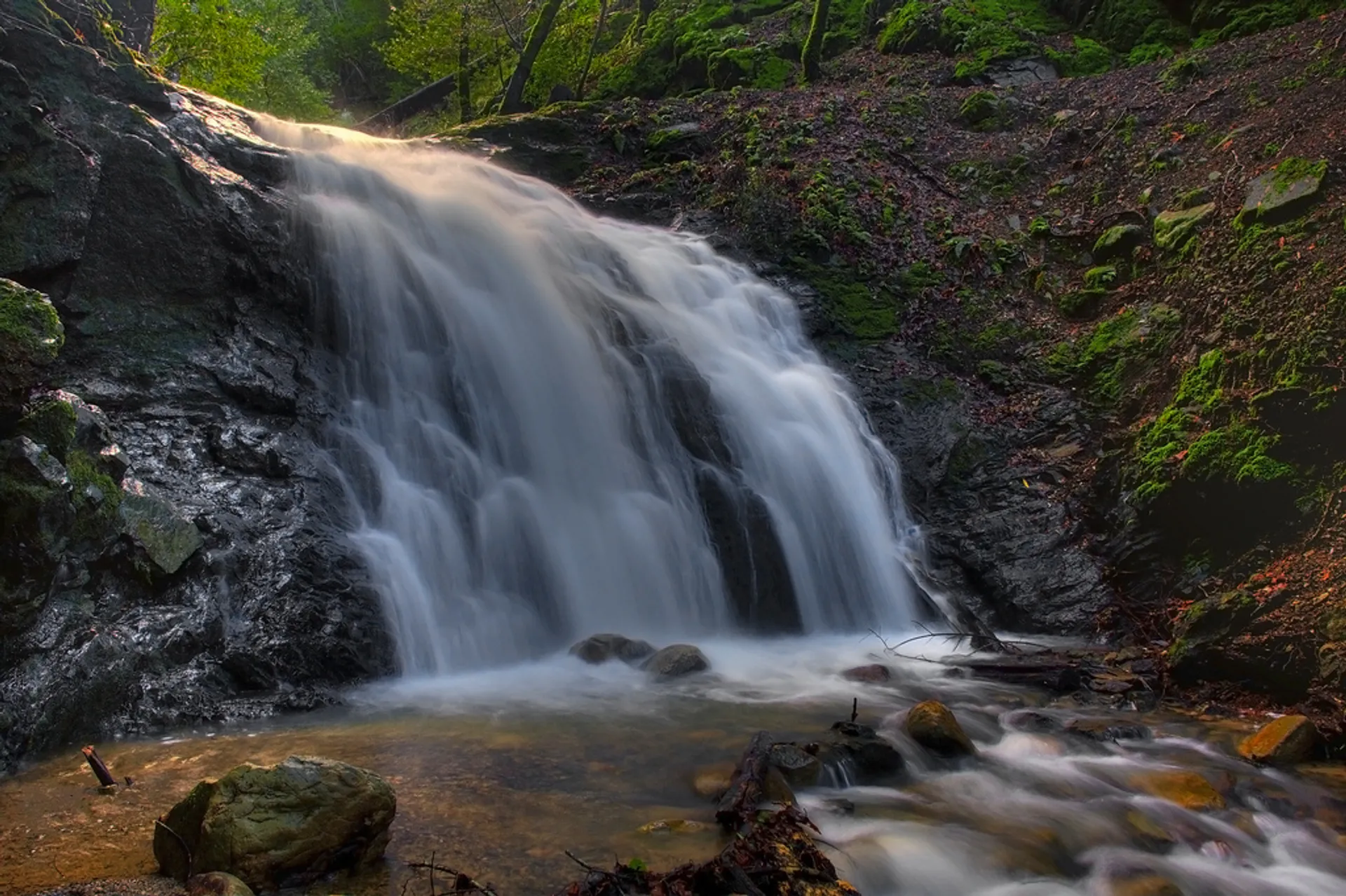 Uvas Canyon Waterfall Loop