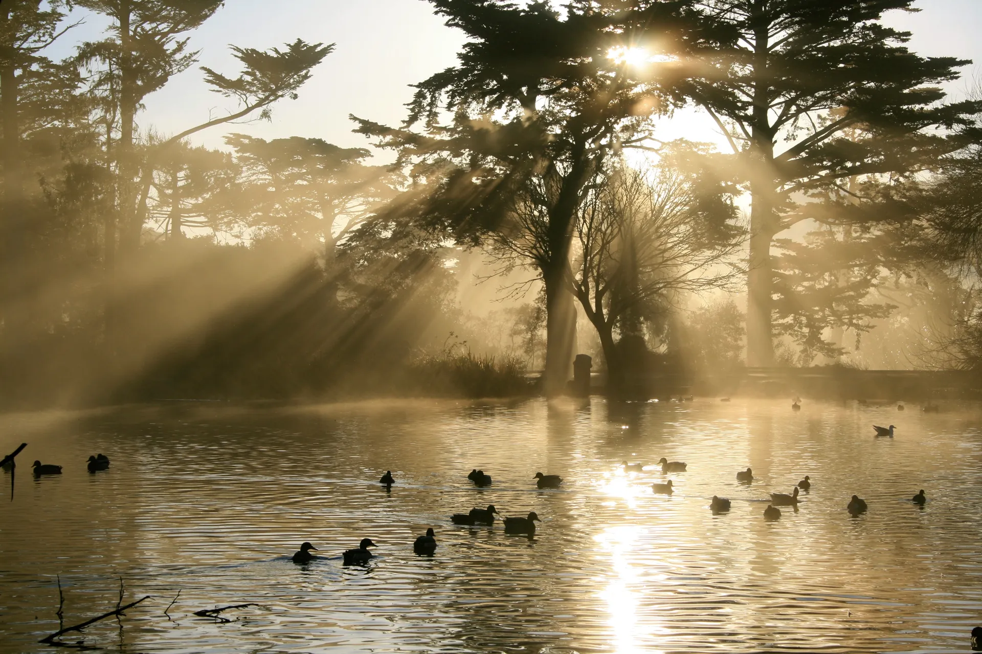 Stow Lake