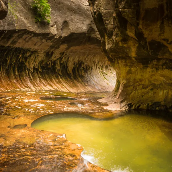 7 Photos from My Hike in The Subway, Zion National Park