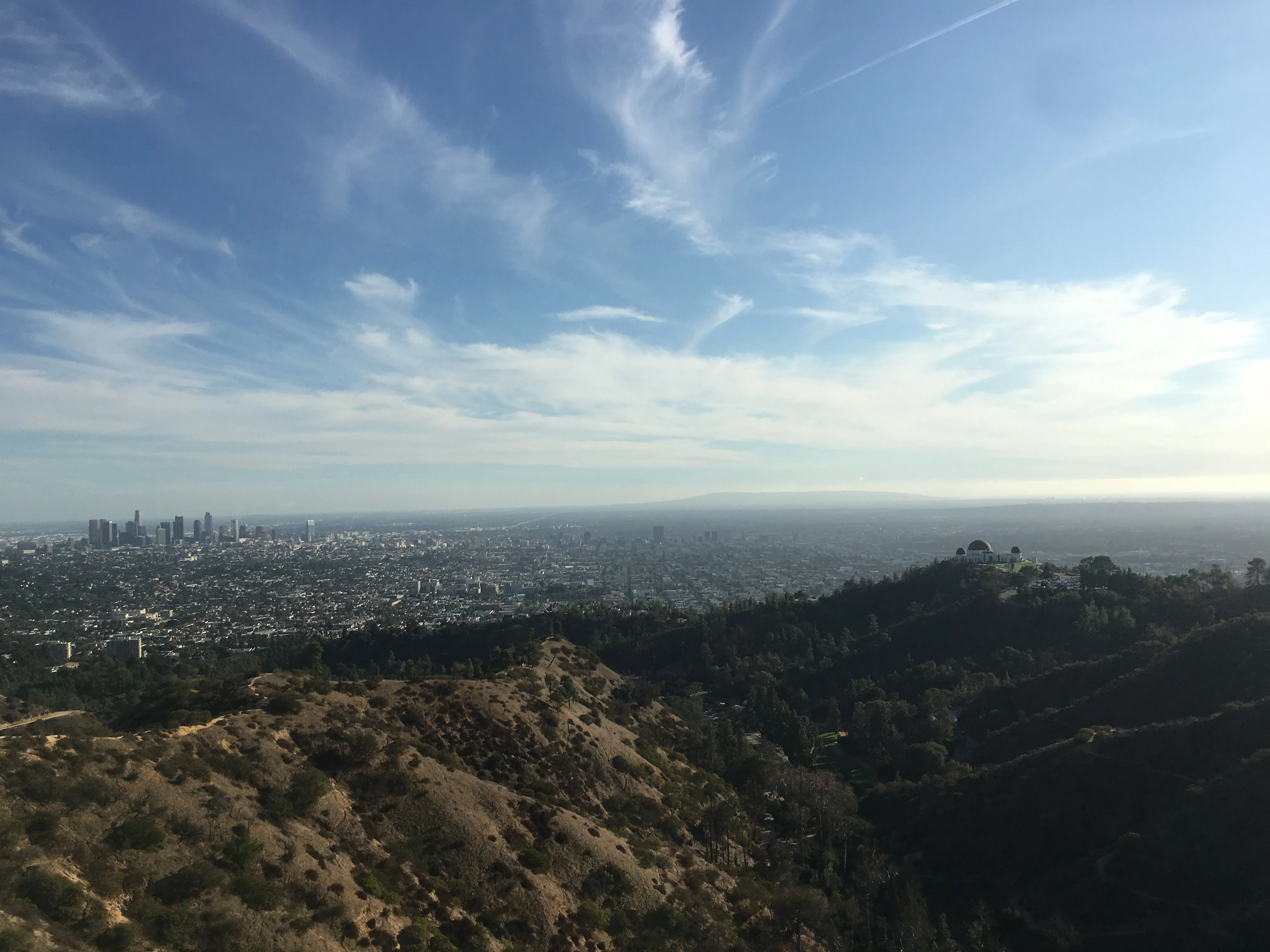 Mount Hollywood via the Fern Canyon Trail