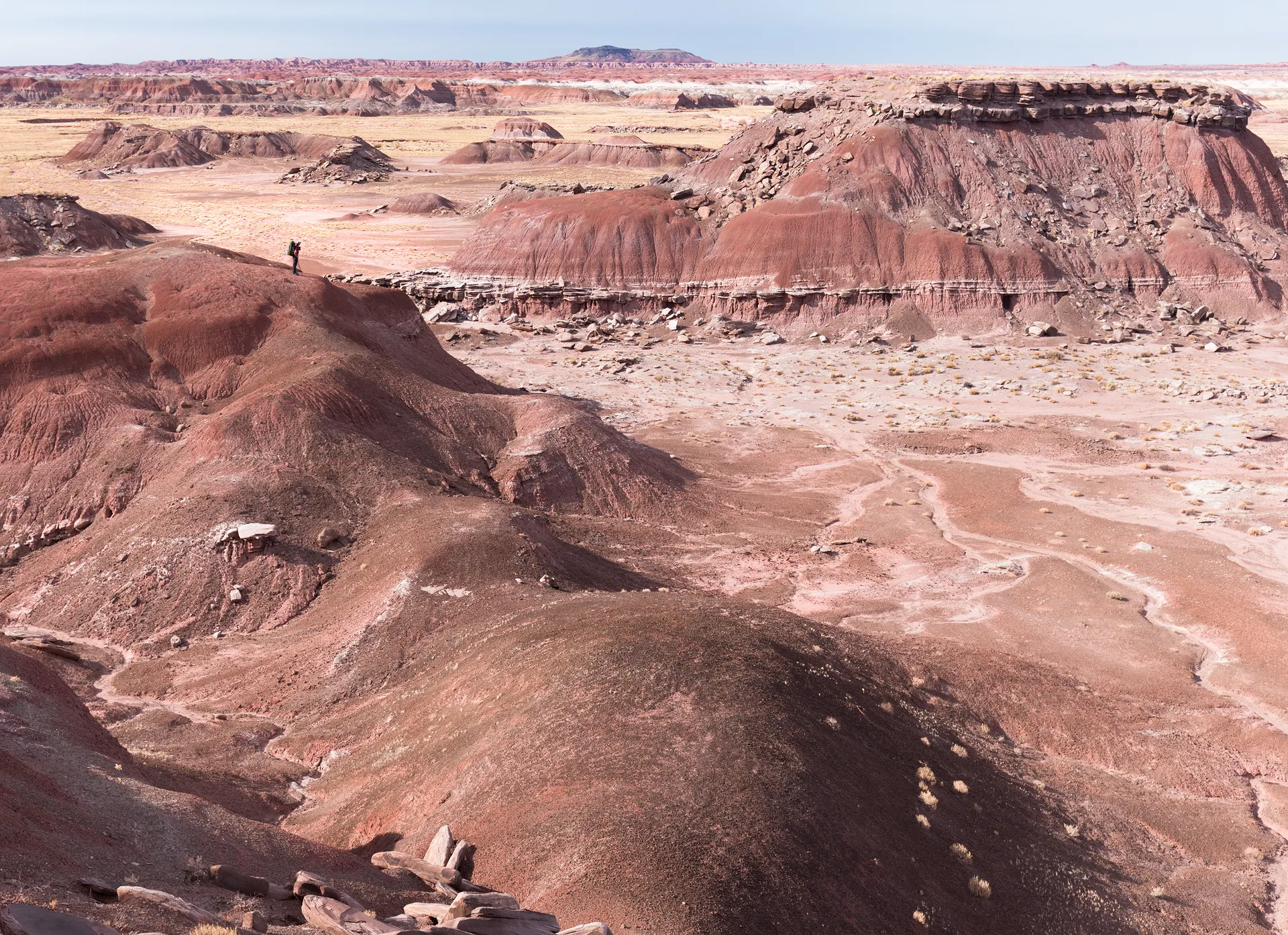Painted Desert Loop