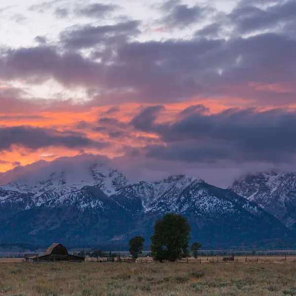 Are We Insta-Destroying Our Wild Places? The Importance of Conservation