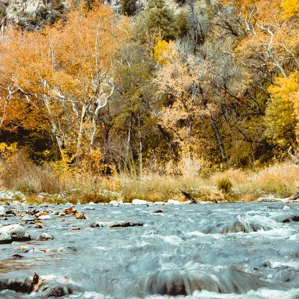Adventure Gold in the Land of Enchantment: 72 Hours in Silver City, New Mexico
