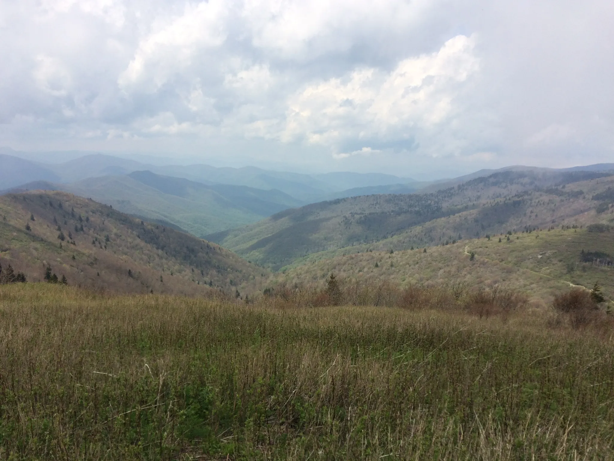 Art Loeb Trail