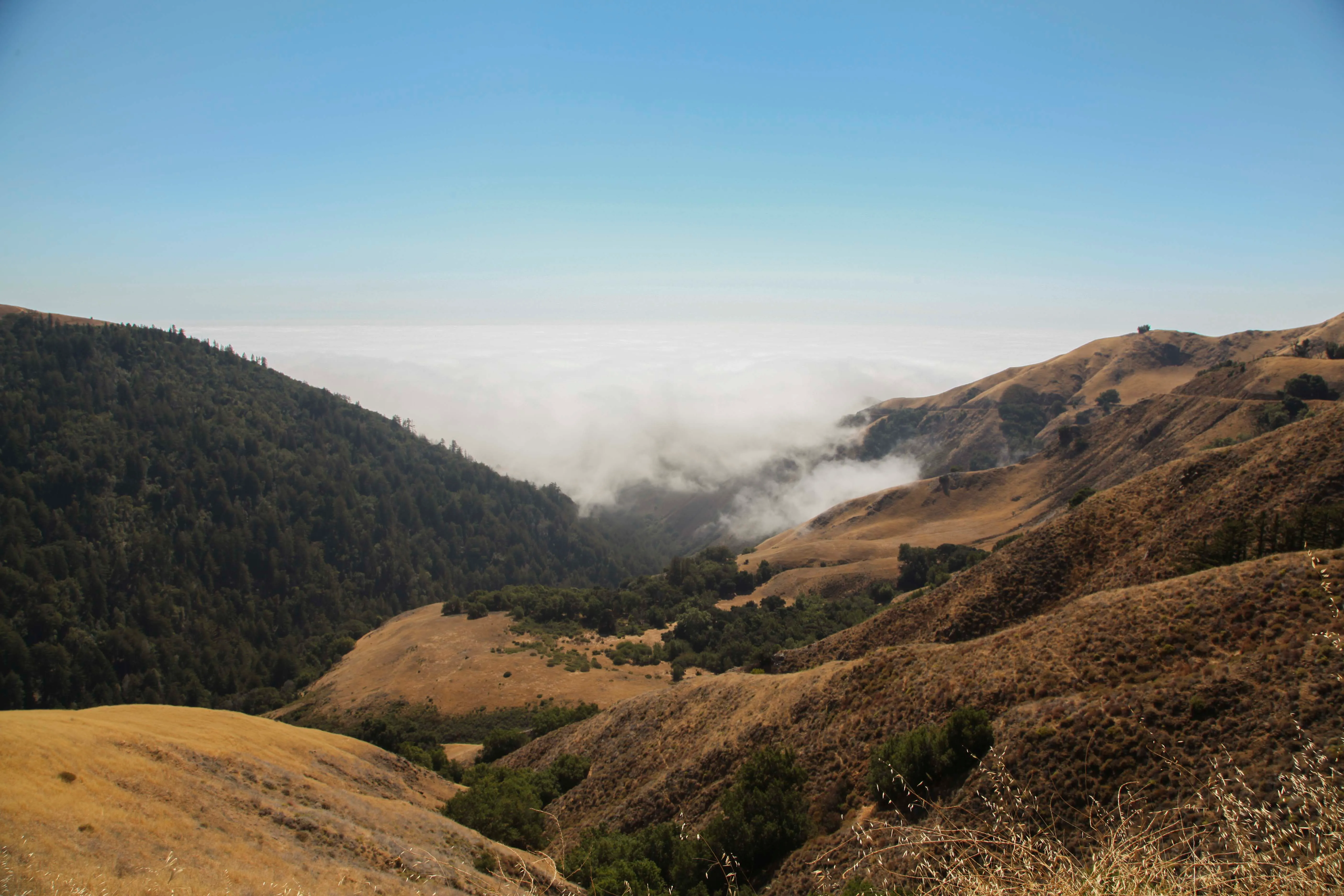 Vicente Flat Trail via Kirk Creek Campground