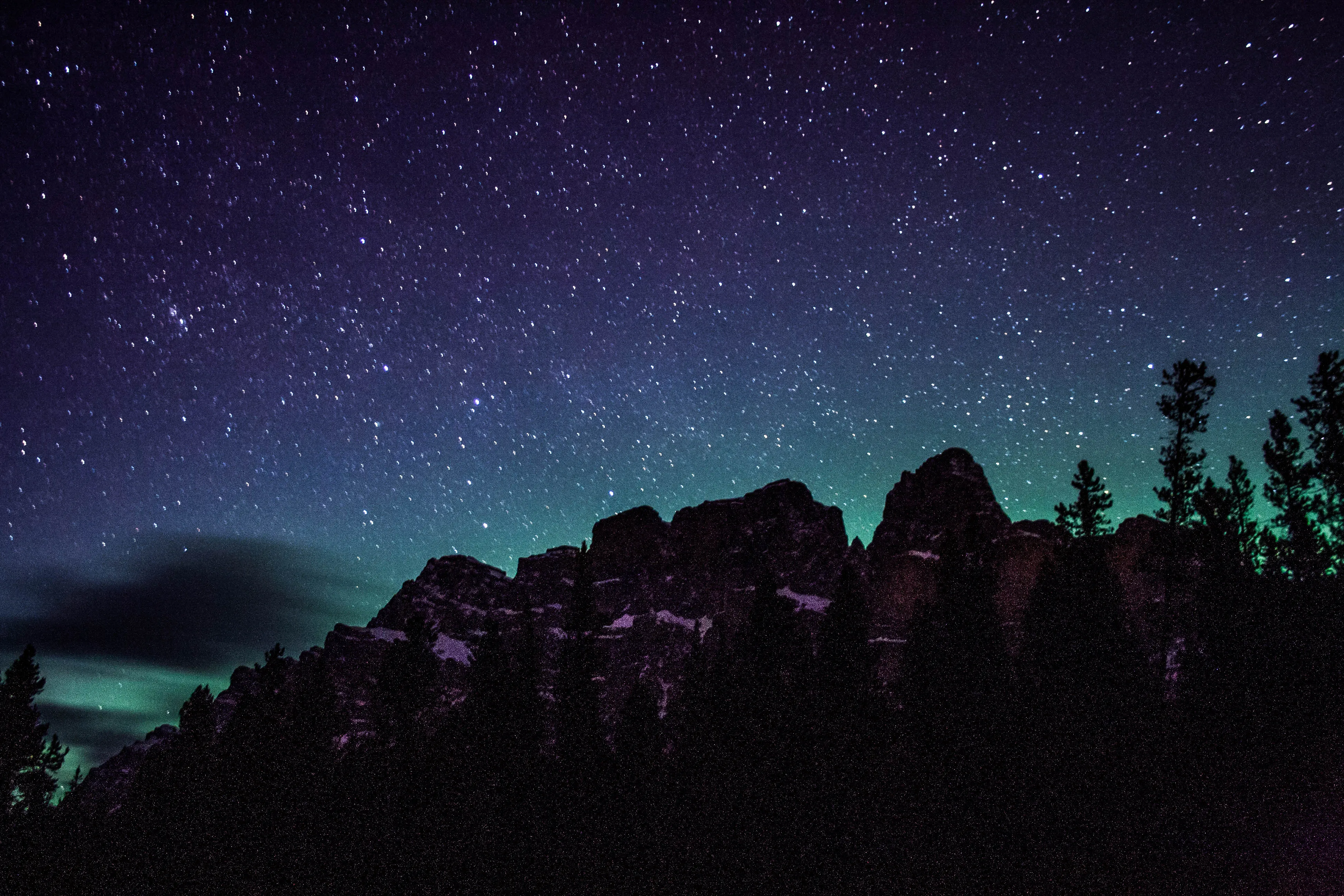 View the Castle Mountain Lookout 