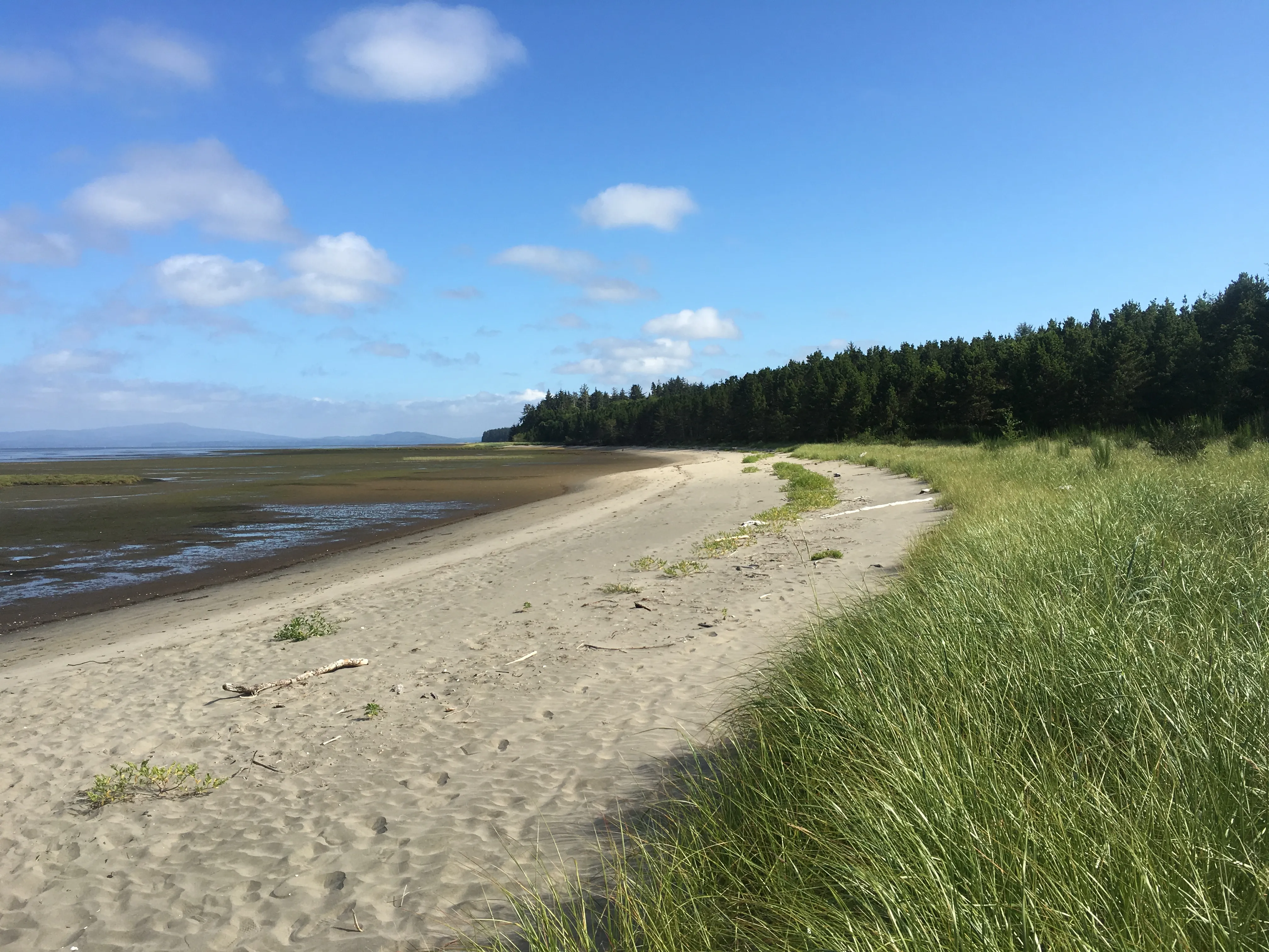 Leadbetter Point State Park Loop