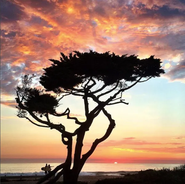 South Carlsbad Campground