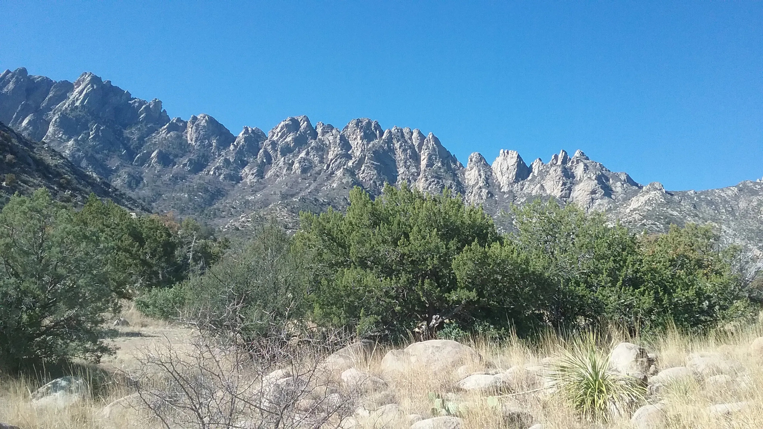 Pine Tree Trail Loop