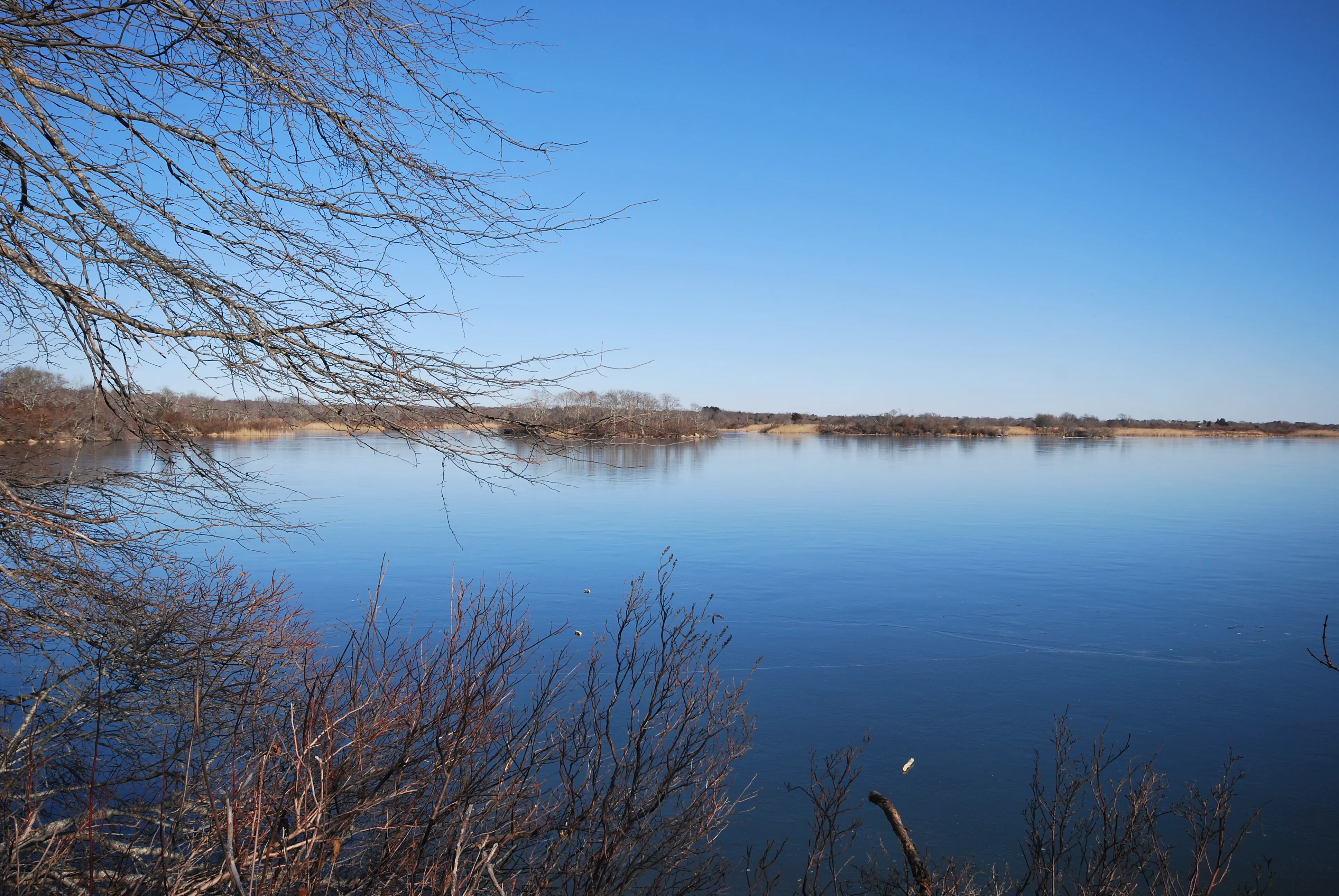 Osprey Point Loop on Trustom Pond