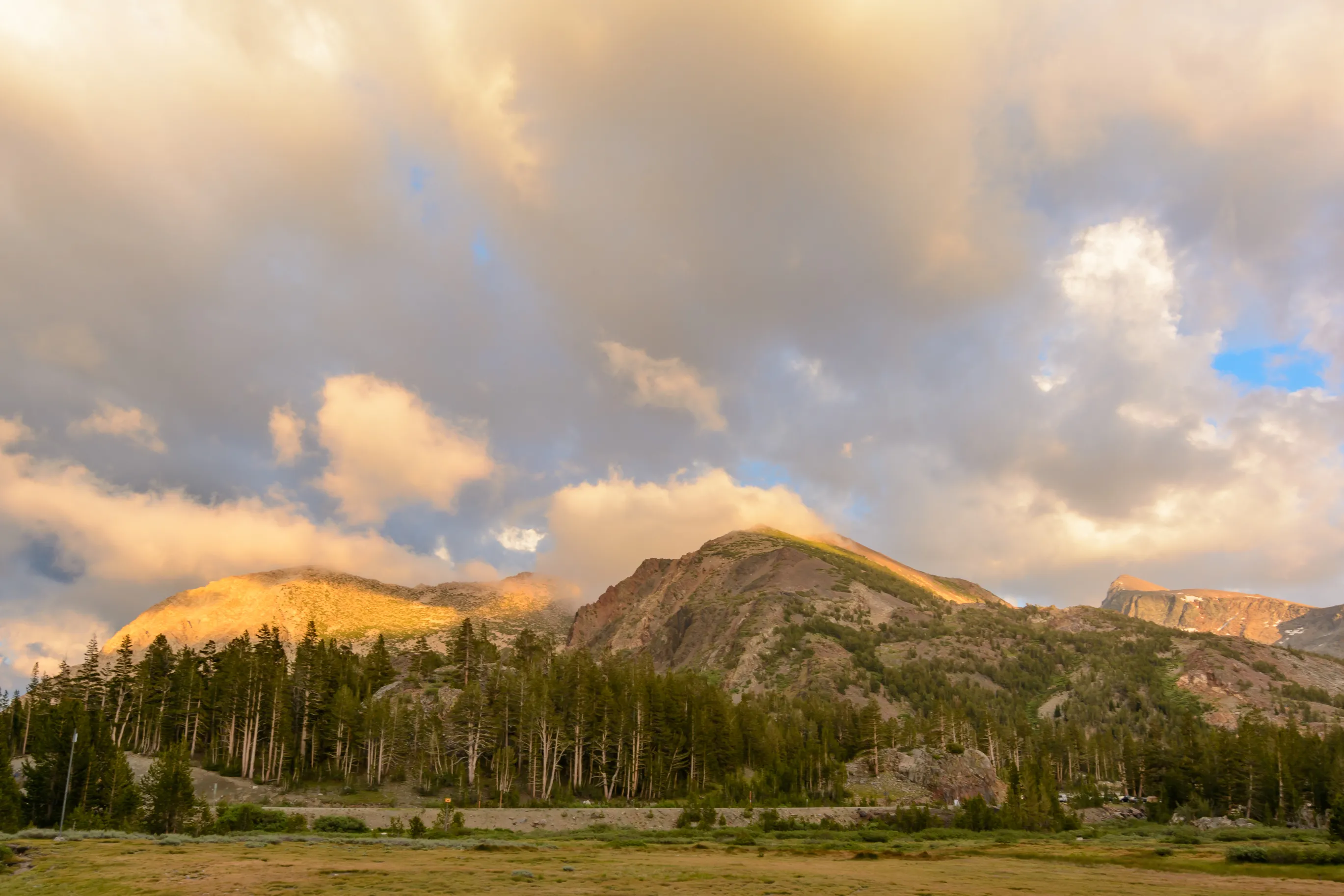 Junction Campground, Mono County 