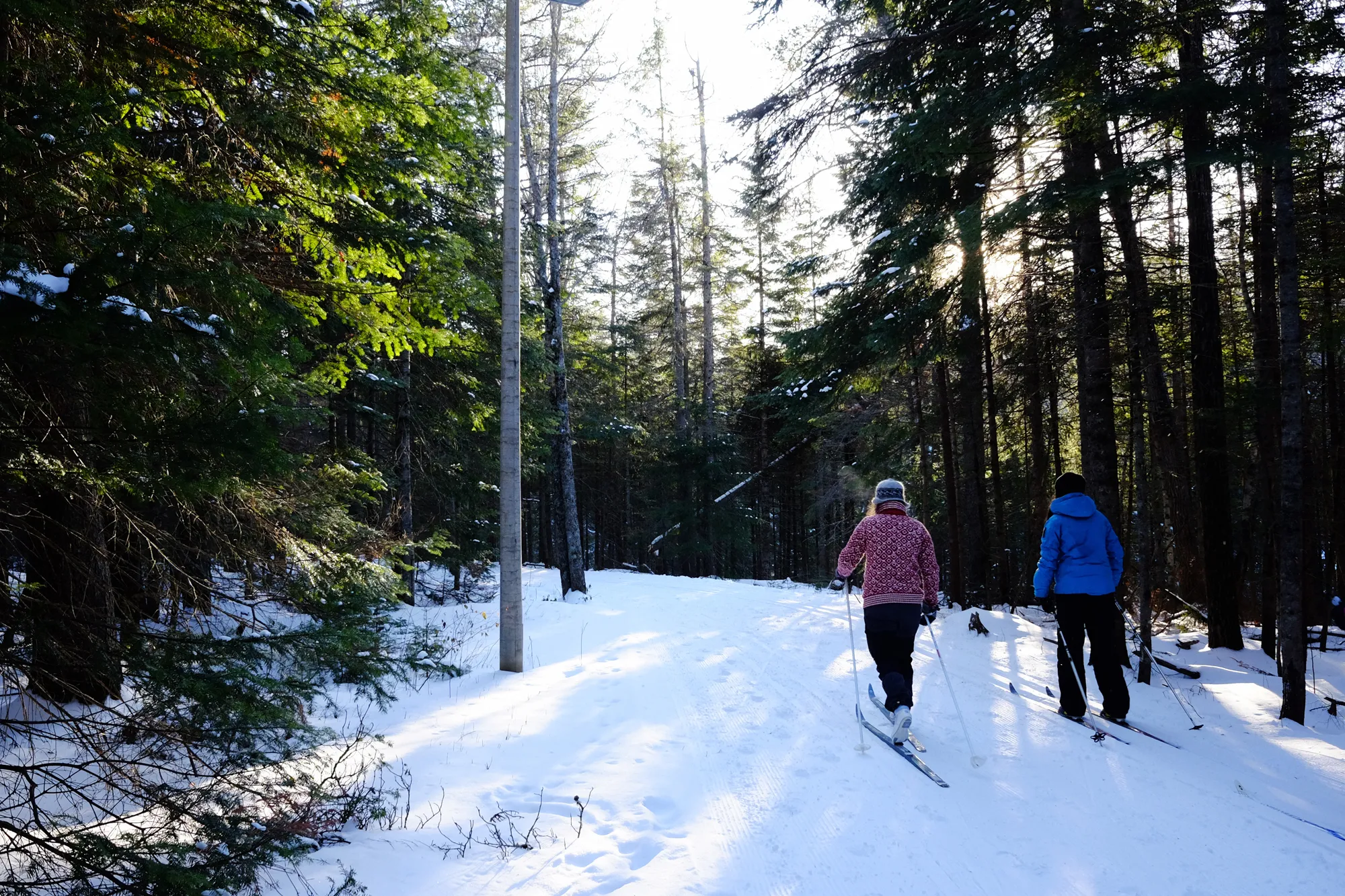 Ski Centennial Park loop in Moncton
