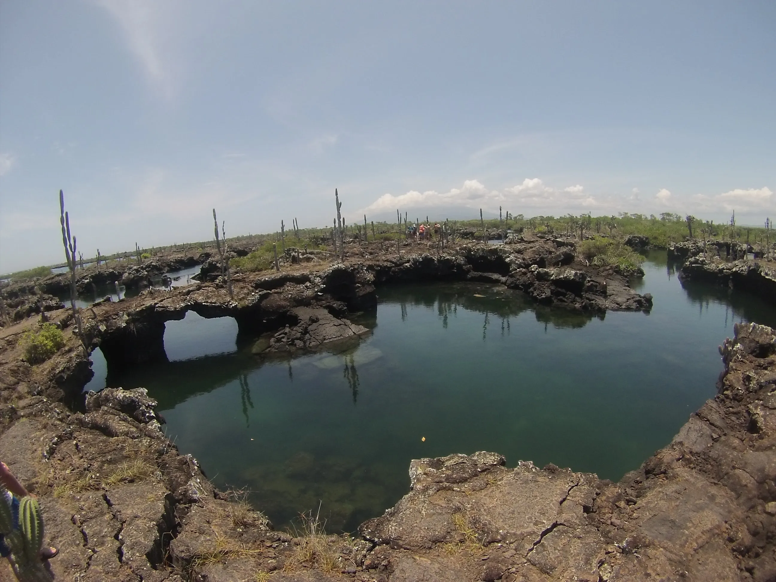 Snorkel the Tunnels, Isla Isabela