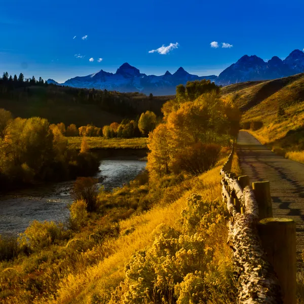 The National Parks' Roads Less Traveled 