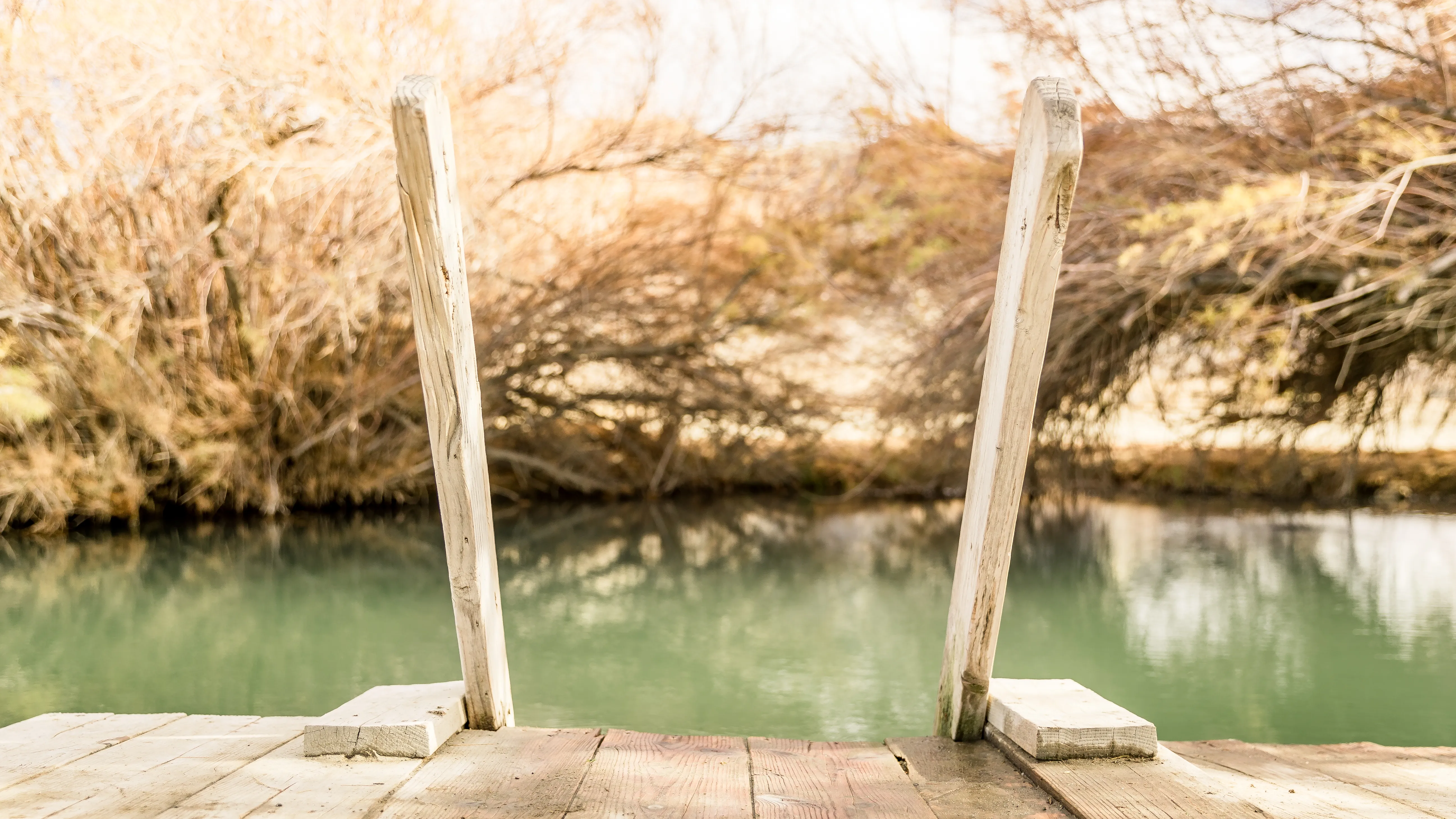 Soak in The Frog Pond Warm Spring