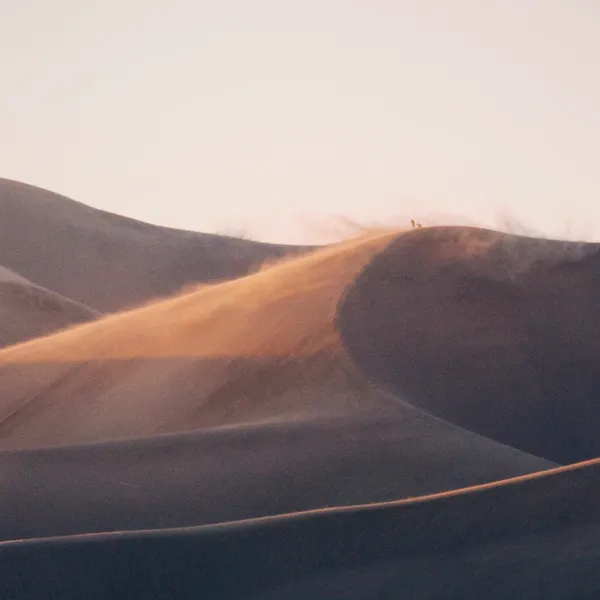The Single Easiest Trick to Improve Your Photography Right Away
