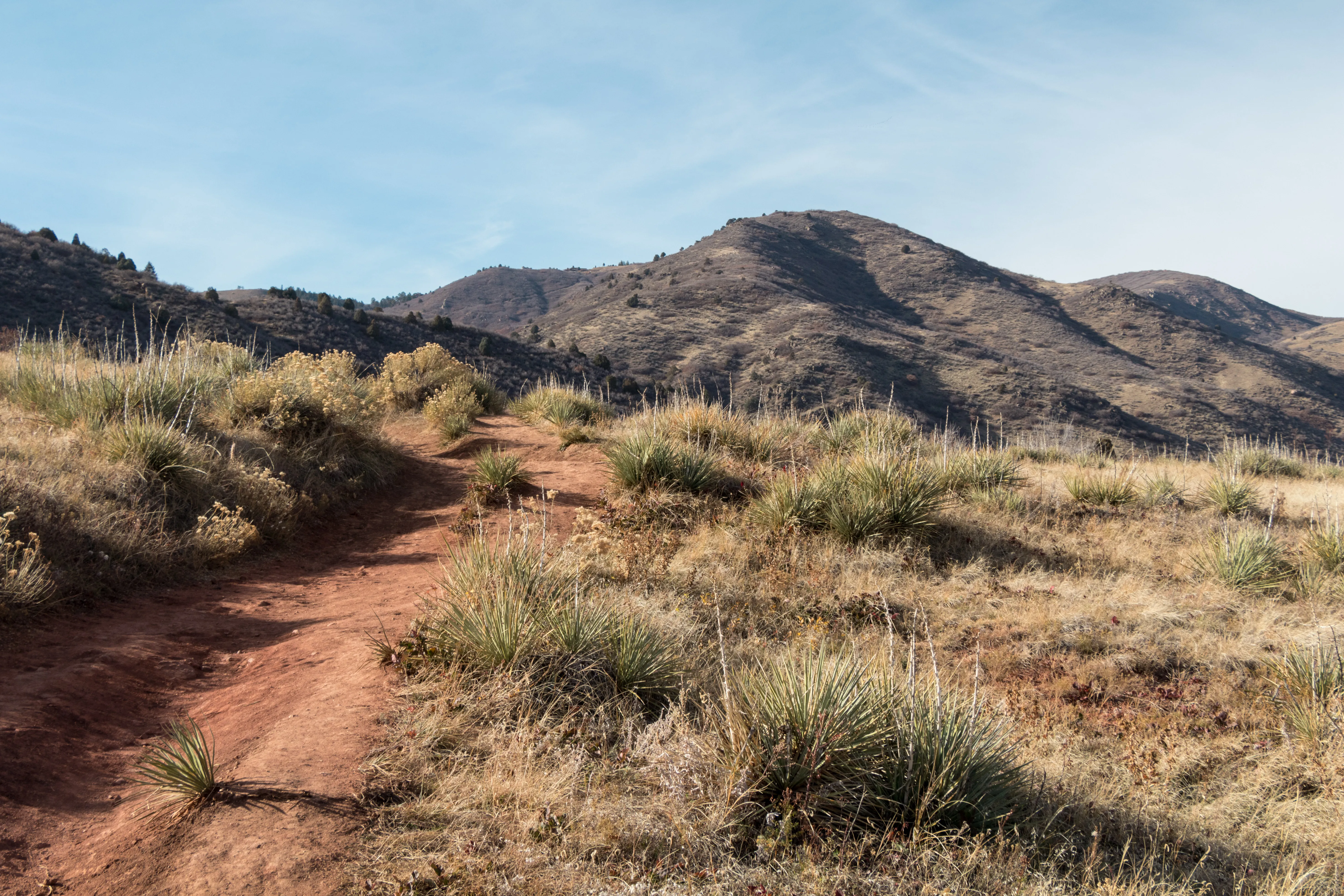 Hike the Meadowlark Plymouth Trail