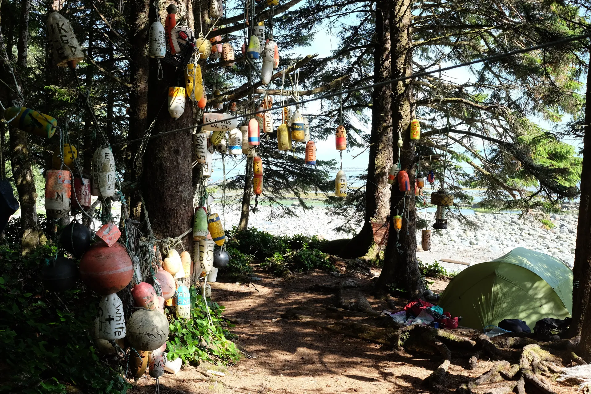 Backpack the West Coast Trail, Pacific Rim NP