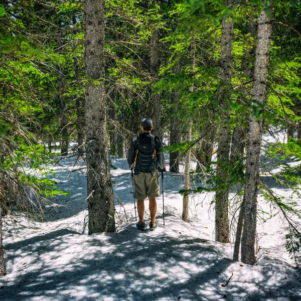 The Pros and Cons of Hiking with Trekking Poles 