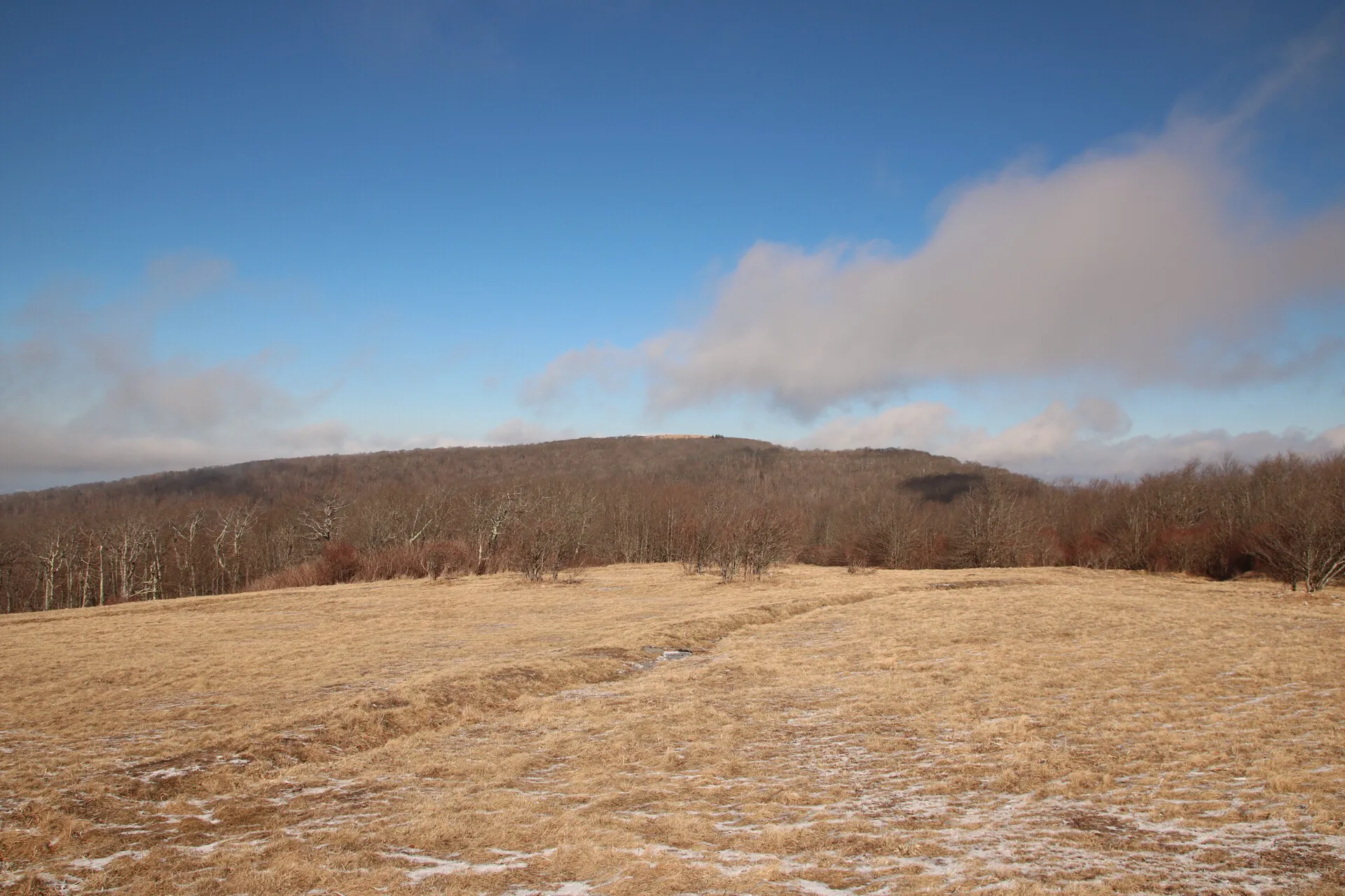 Hike Hooper Bald 