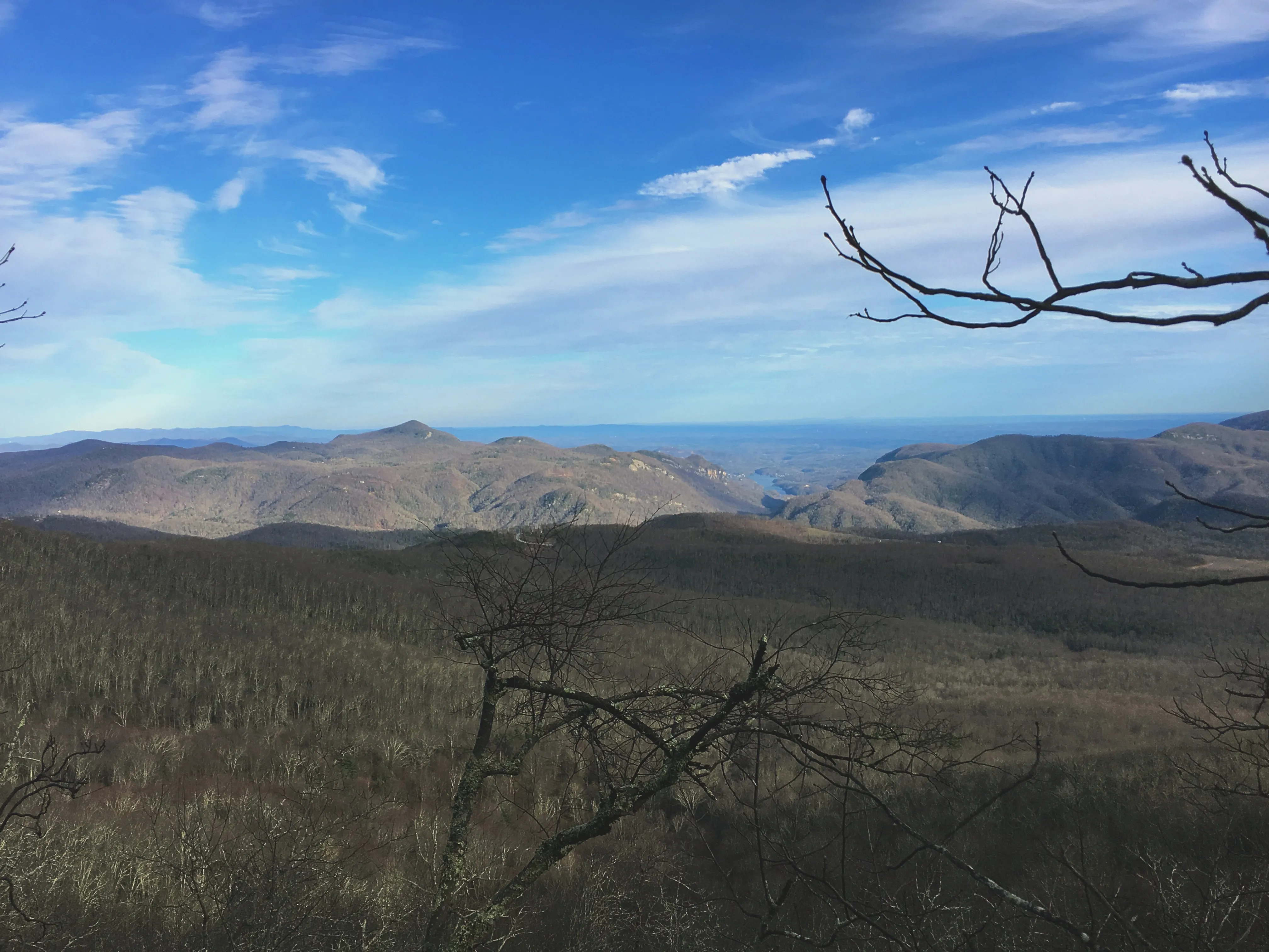 Hike to the Top of Bearwallow Mountain