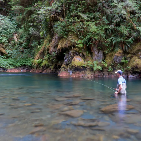 7 Photos from Fly Fishing the Olympic Peninsula