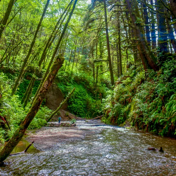 A Weekend of Adventure in Redwood National and State Parks