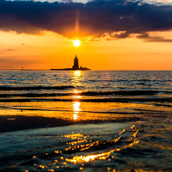 The Ultimate Guide to Delaware's Cape Henlopen State Park