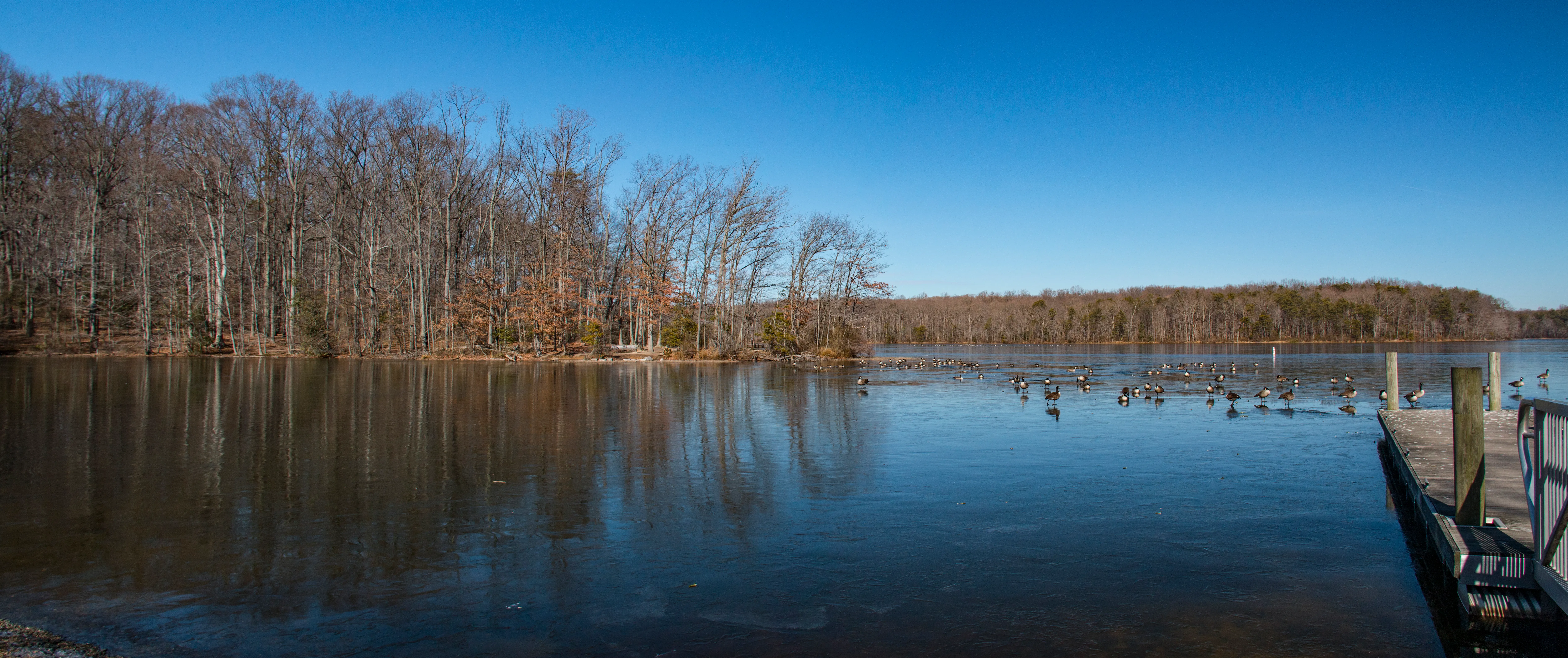 Explore Burke Lake in Fairfax
