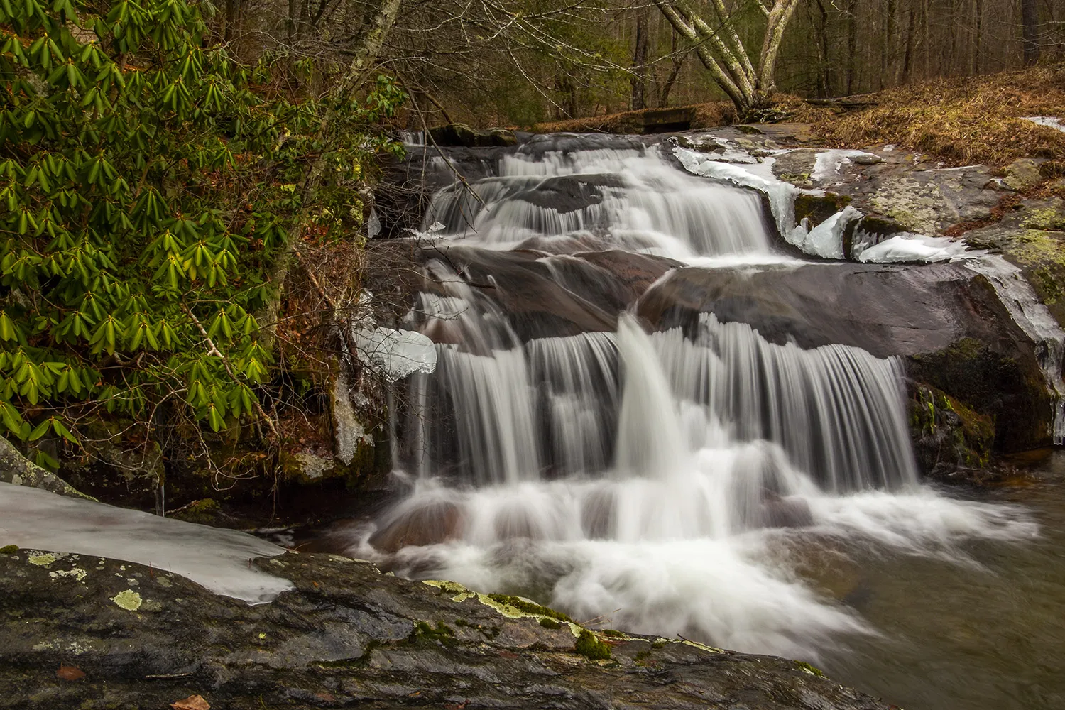 Photograph Statons Creek Falls