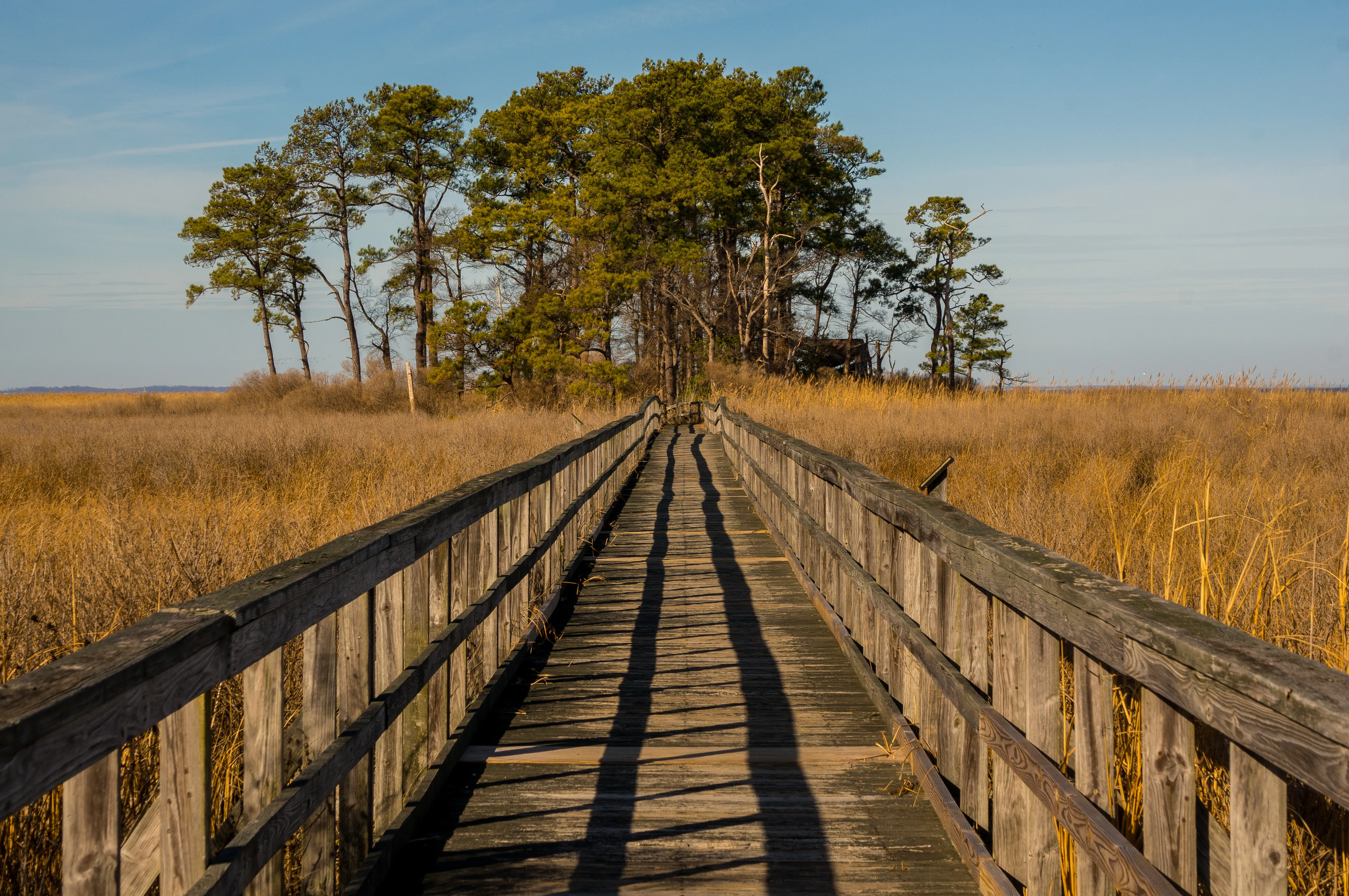 Explore Eastern Neck National Wildlife Refuge