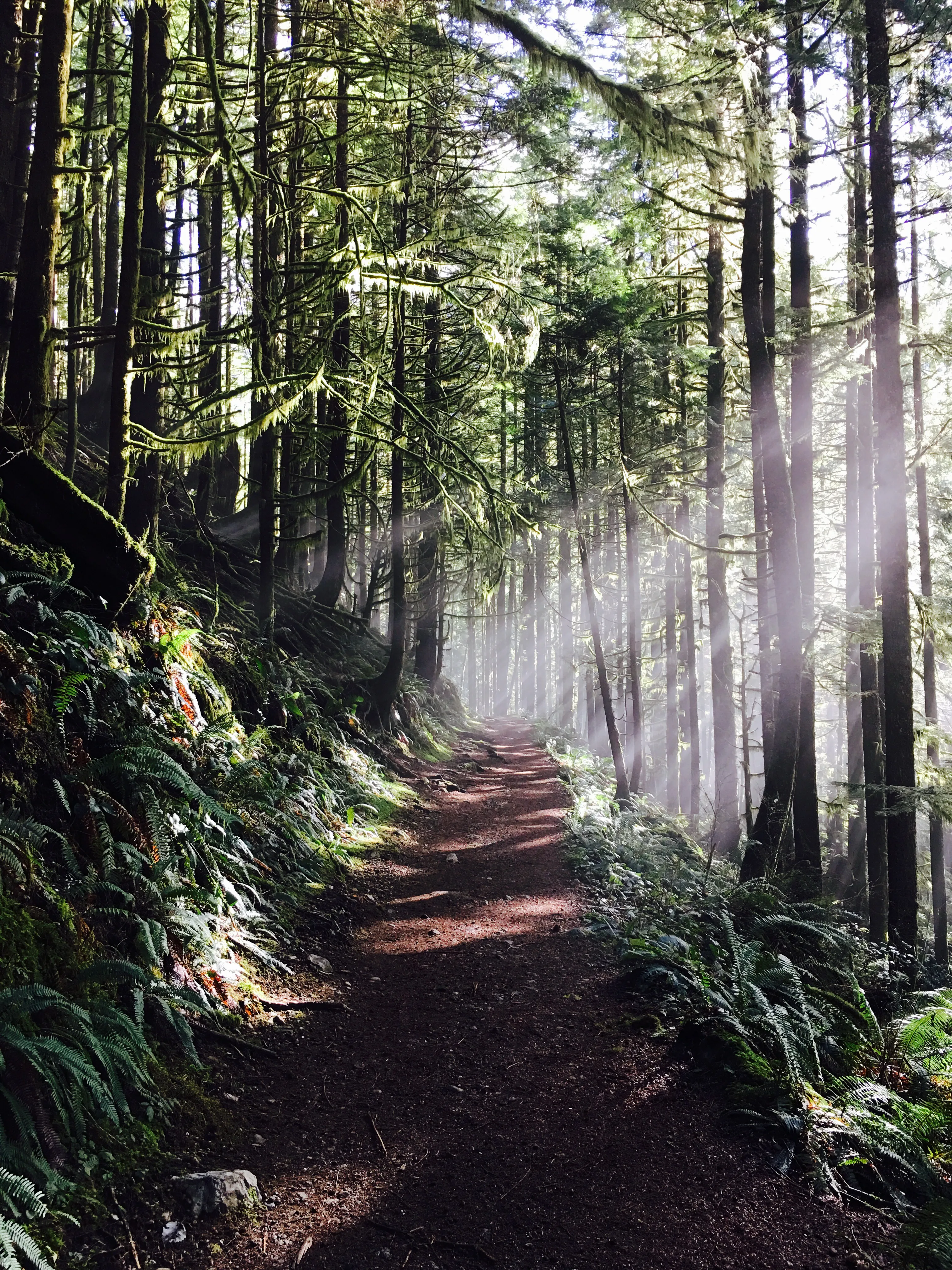 Boulder River Trail