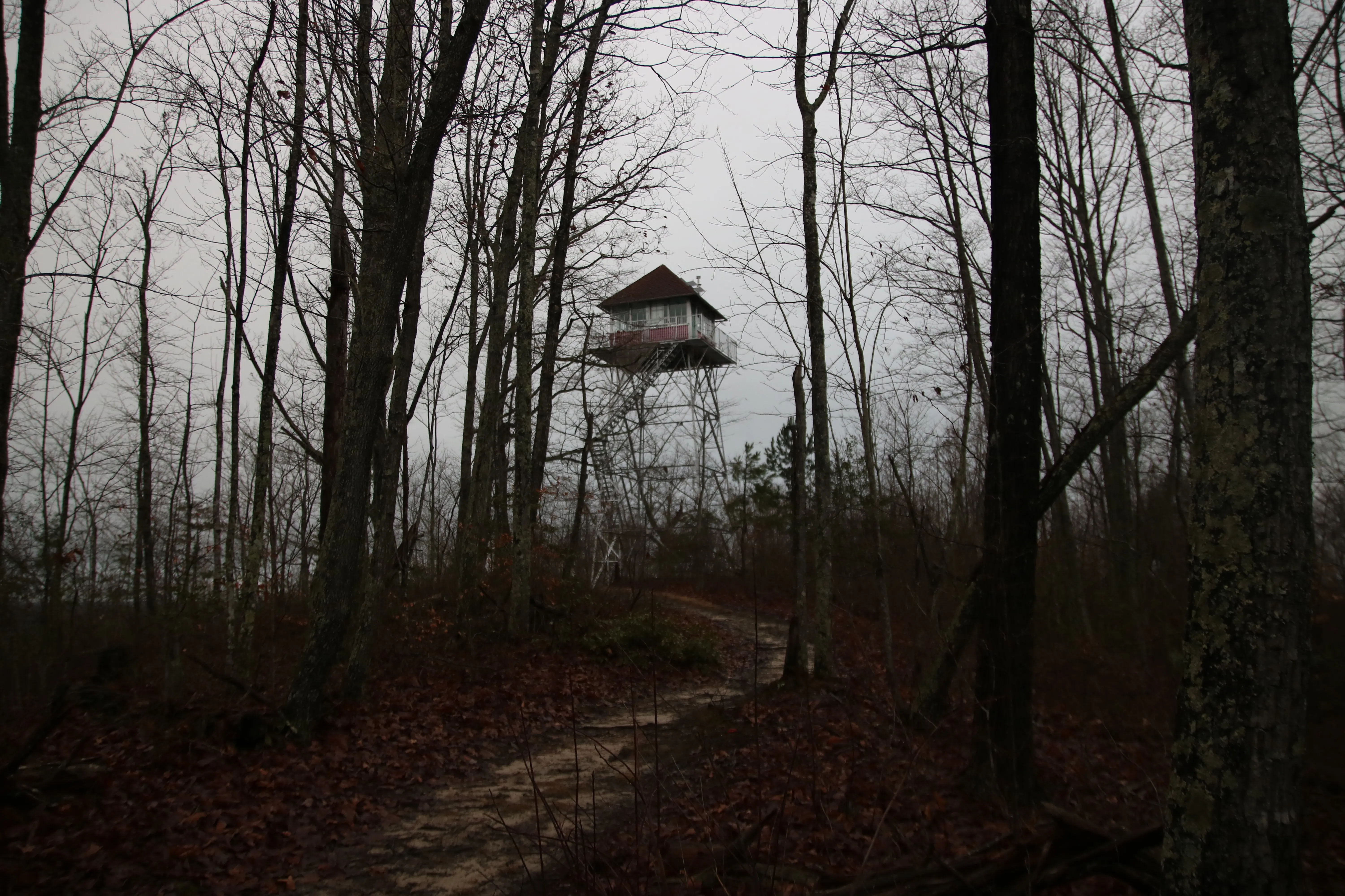 Pinnacle Knob Fire Tower  