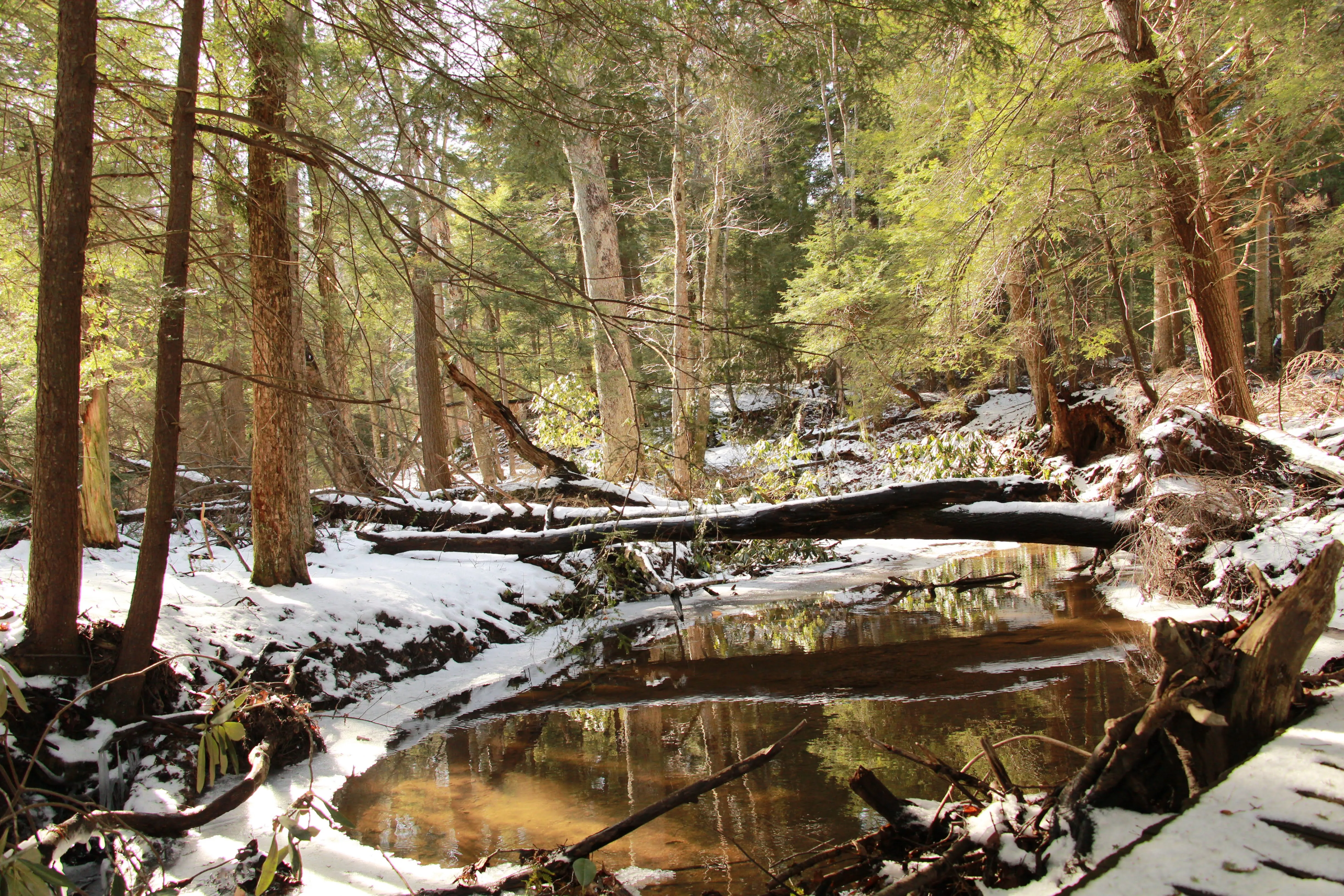 Hike the Cathedral Trail in Cathedral SP