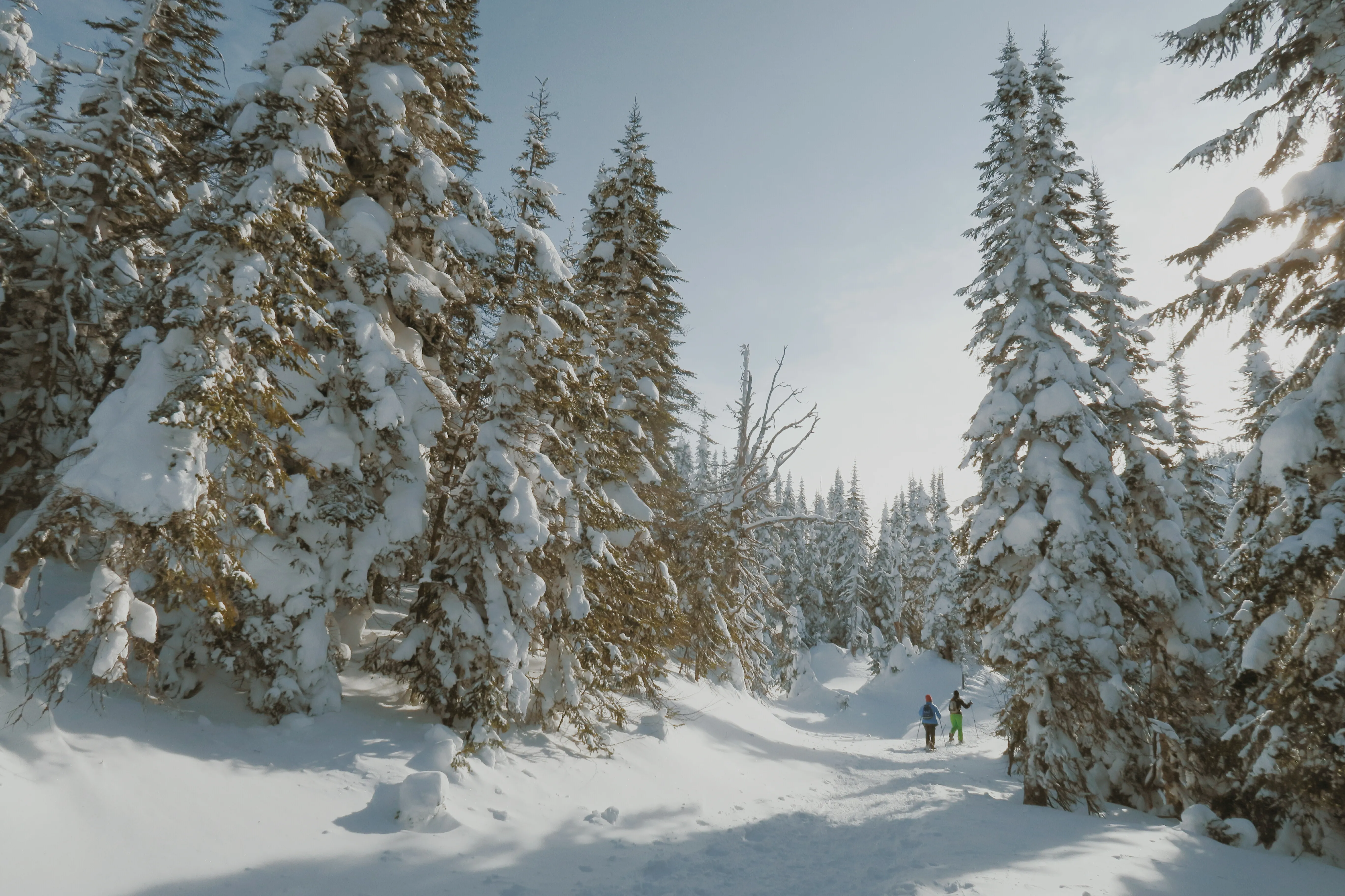 Snowshoe in Quebec's Valley of the Phantoms