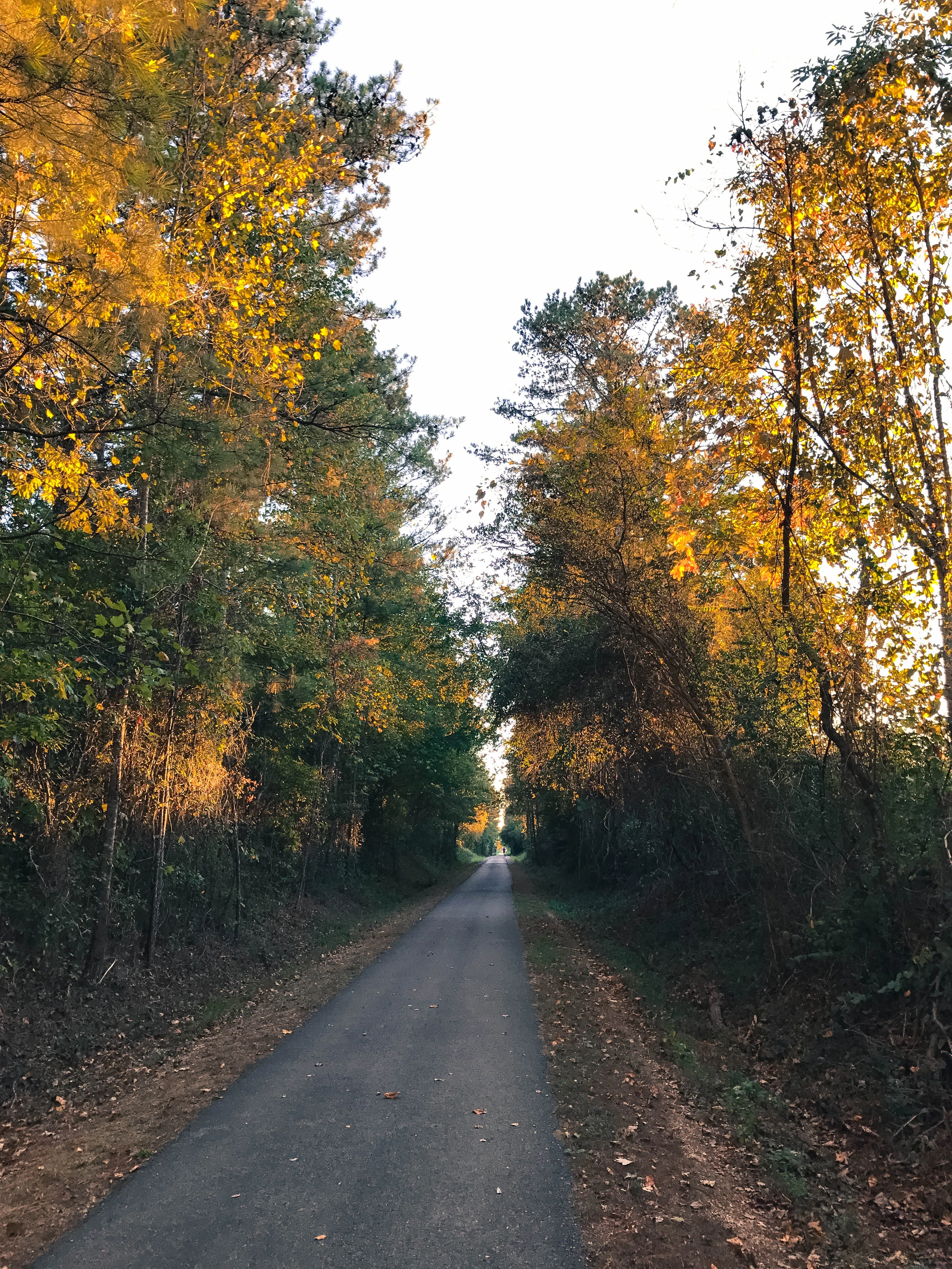 Run the Chief Ladiga Trail