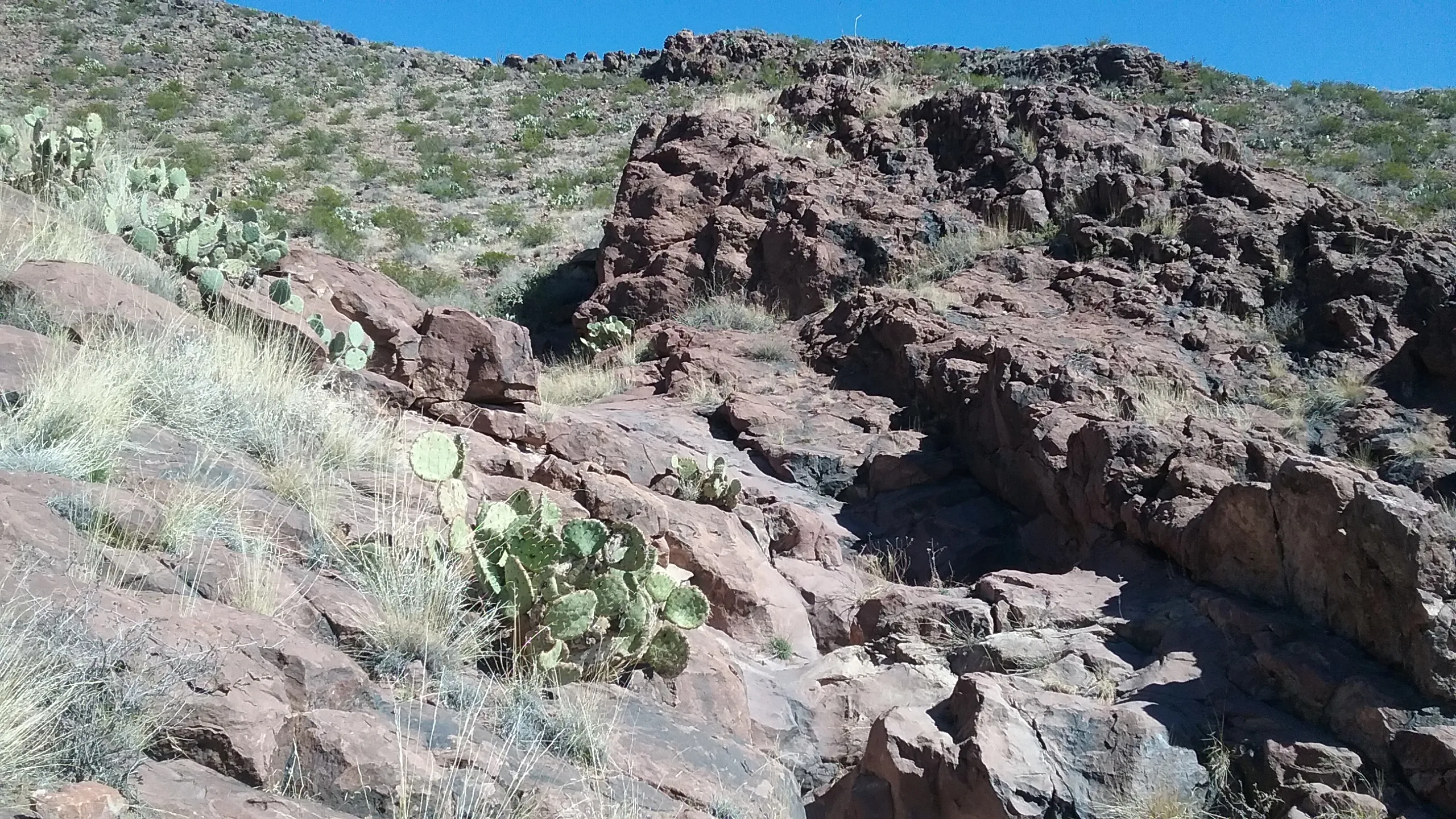 Rincon Petroglyphs