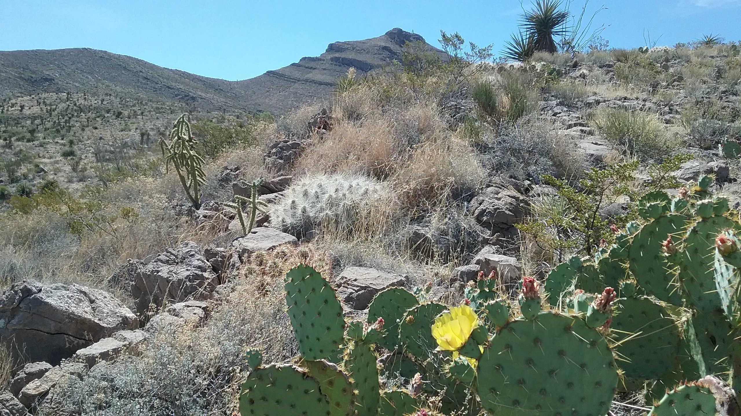 Hike the Sierra Vista Trail