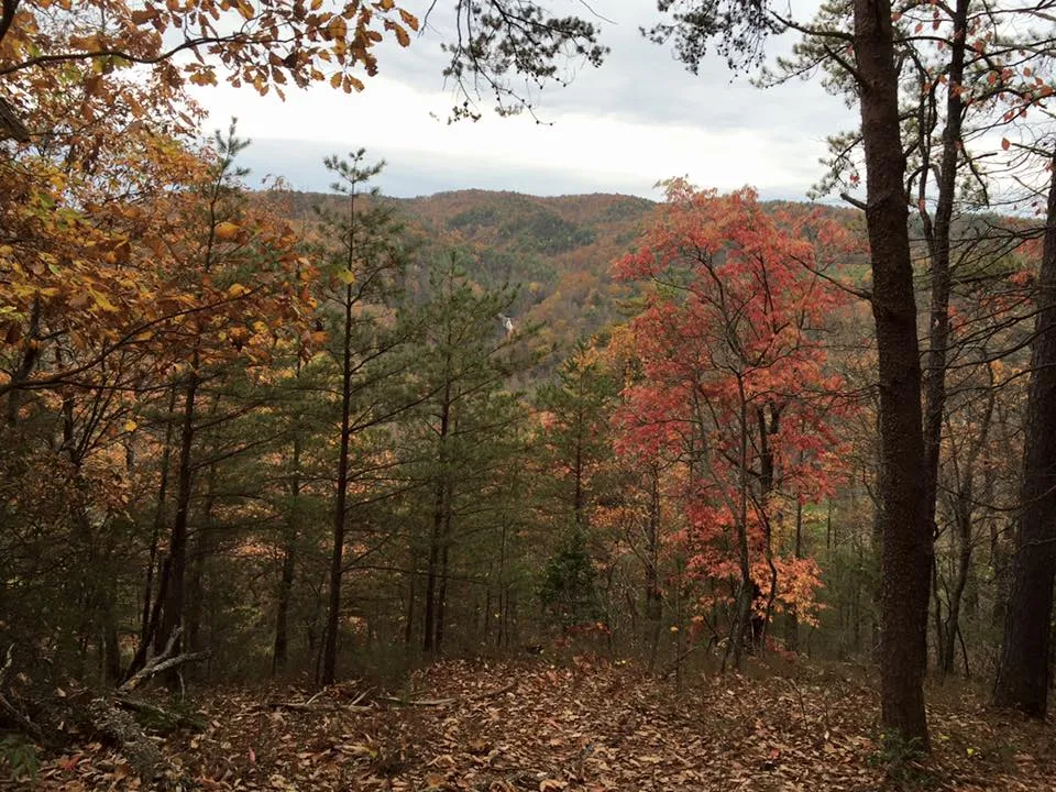 Sawtooth Campground via Chestnut Knob Trail