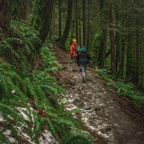 A Taste of Seattle Life Will Have You Looking for Return Flights on Your Flight Home
