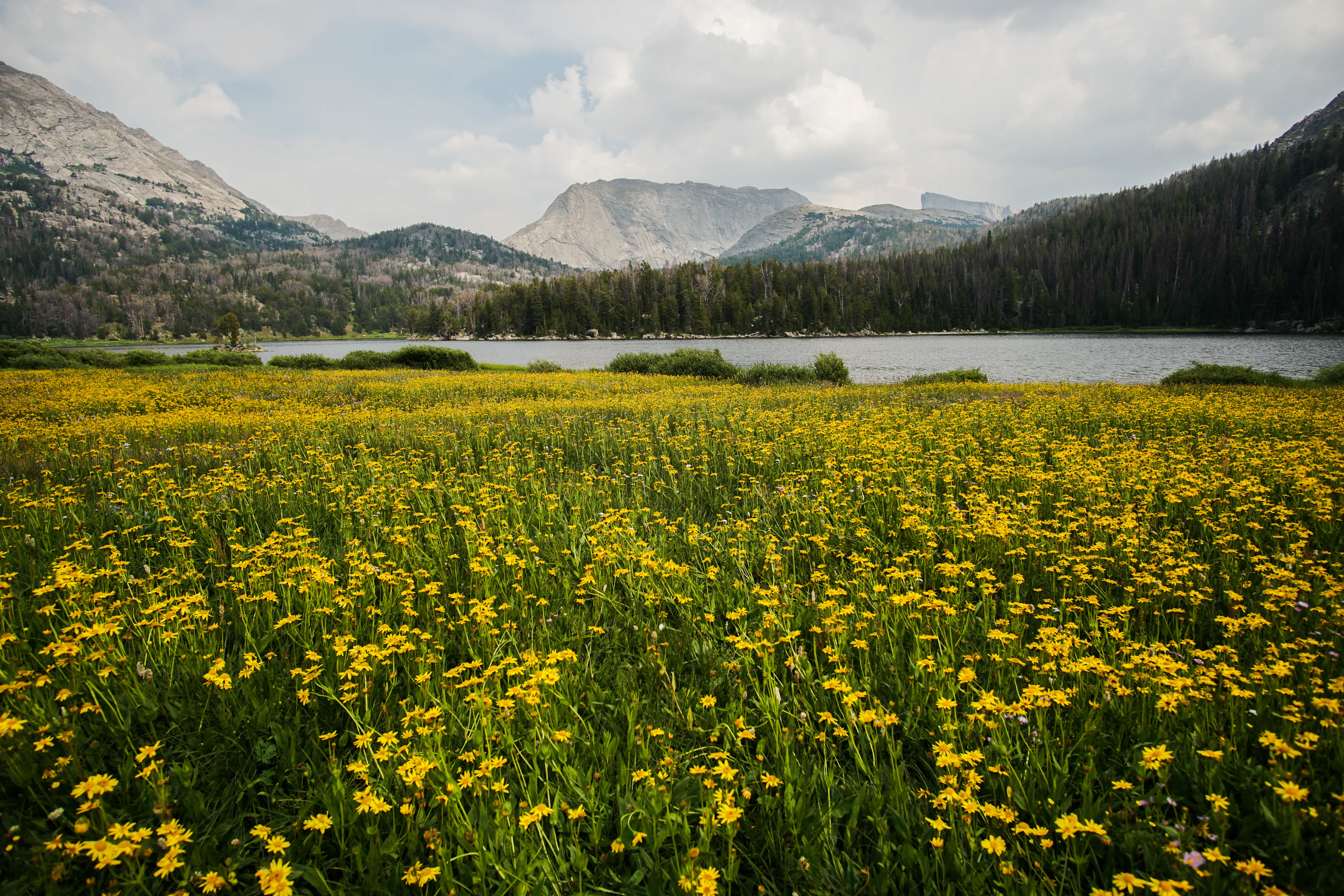 Big Sandy Lake