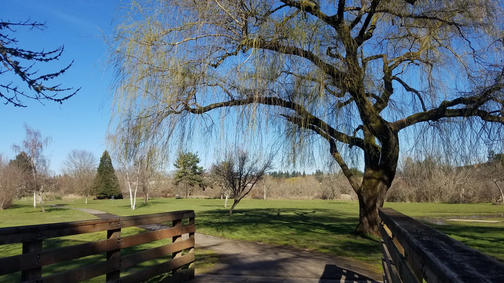 Fanno Creek Trail