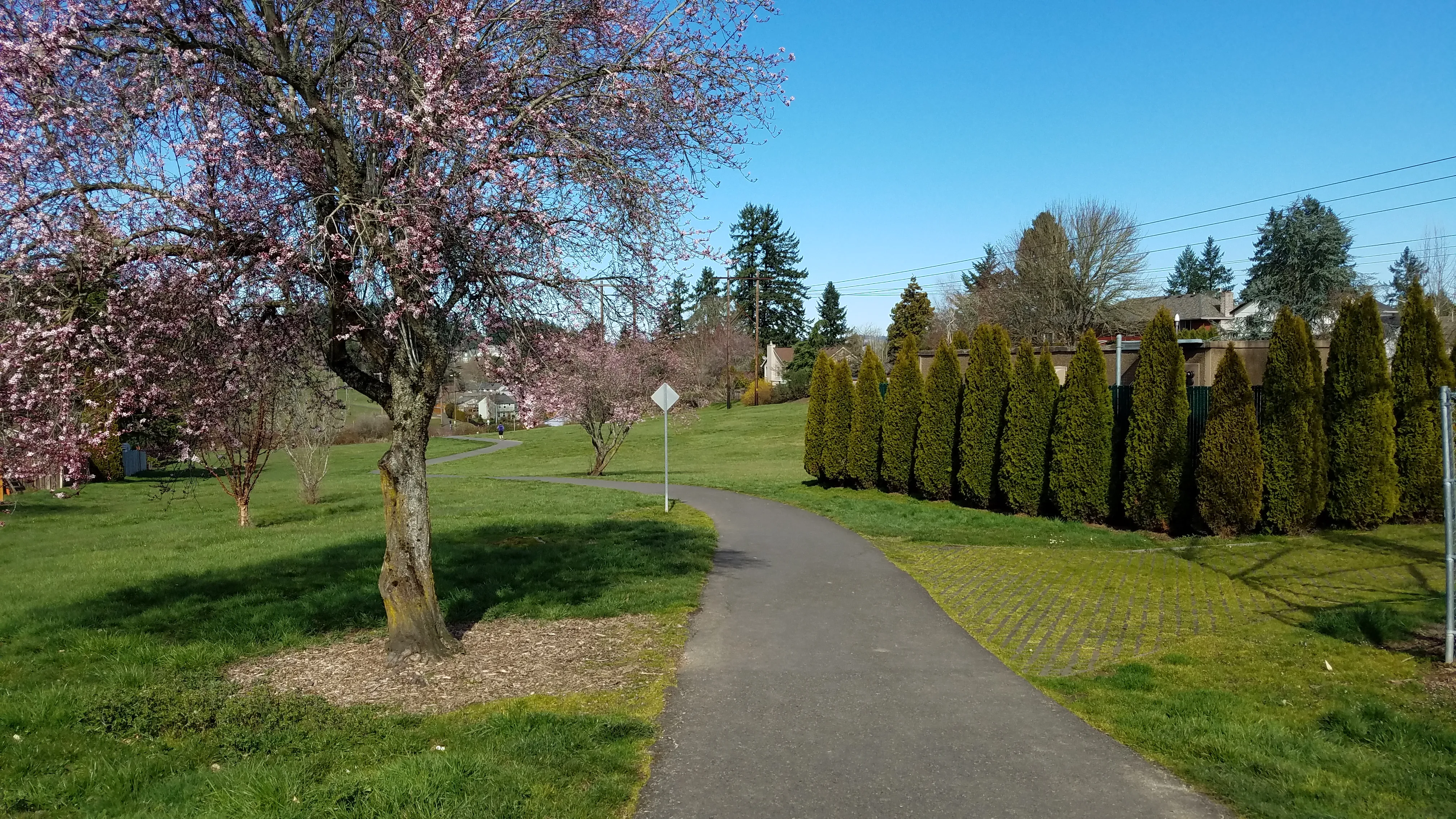 Bike the Westside Regional Trail